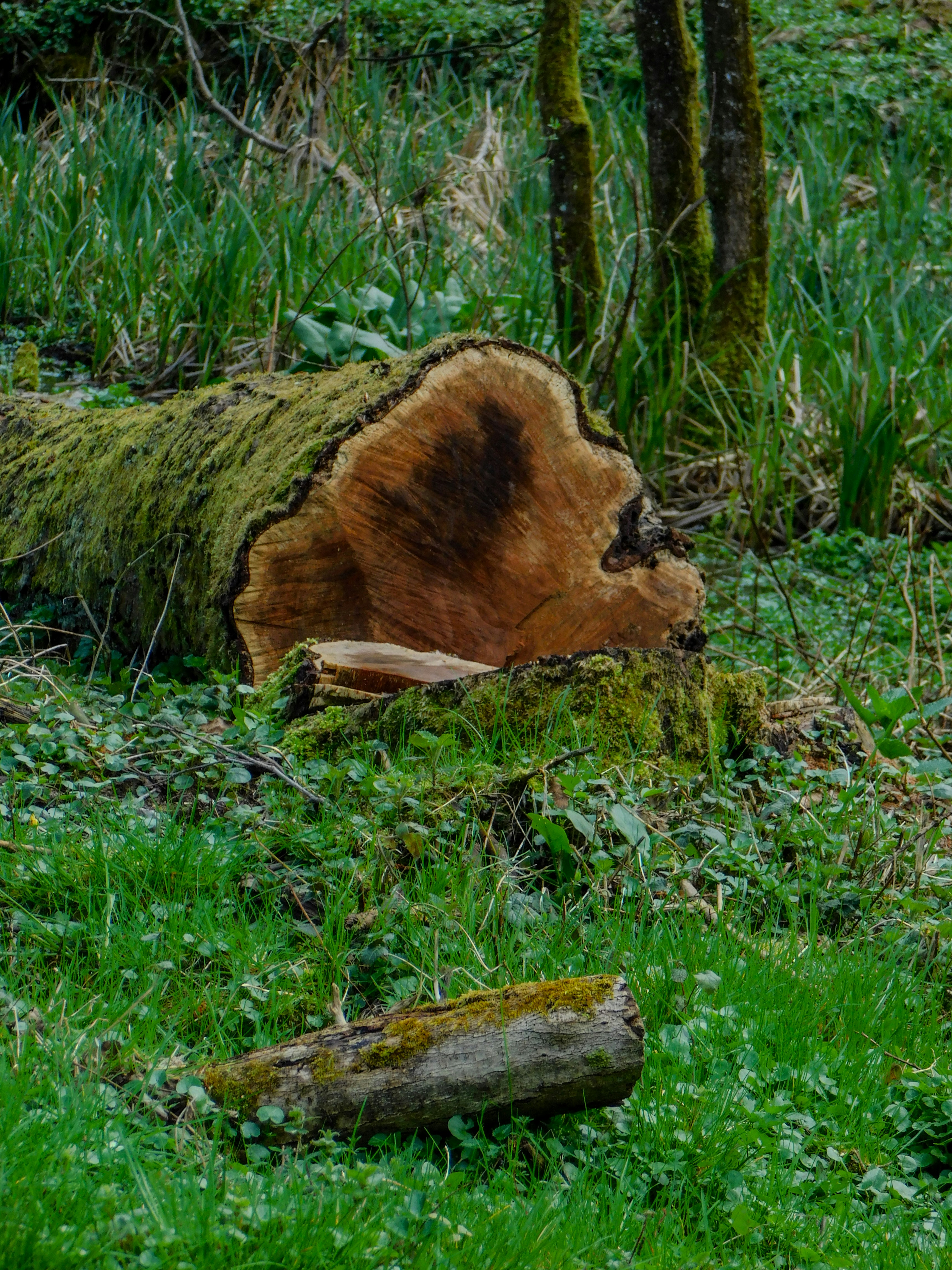 photo-1712866077032-5b7229cf8c3a?ixid=M3wxMjA3fDB8MXxzZWFyY2h8MTI4fHxwYXlwYWwlMjBjdXQlMjBjYWxjdWxhdG9yfGVufDB8fHx8MTczNjAxNjM0N3ww%5Cu0026ixlib=rb-4.0.3