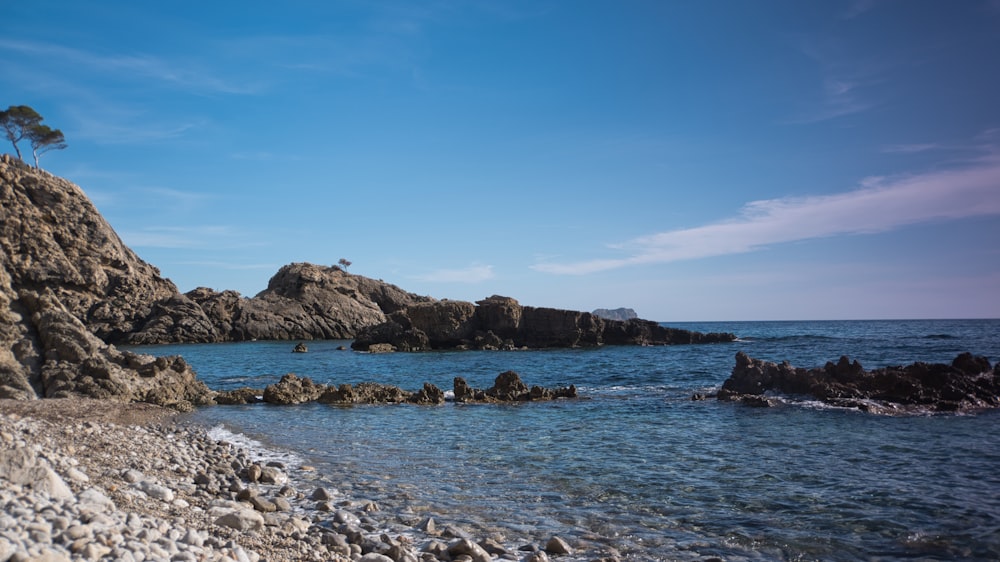 a rocky beach with a lone tree on top of it