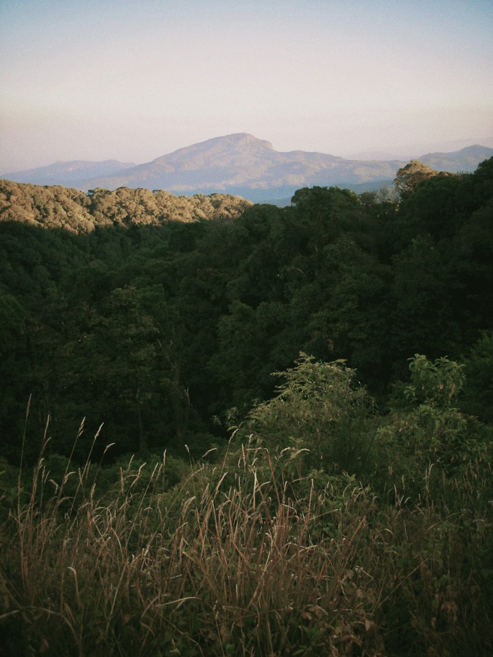 a view of a mountain range from a distance