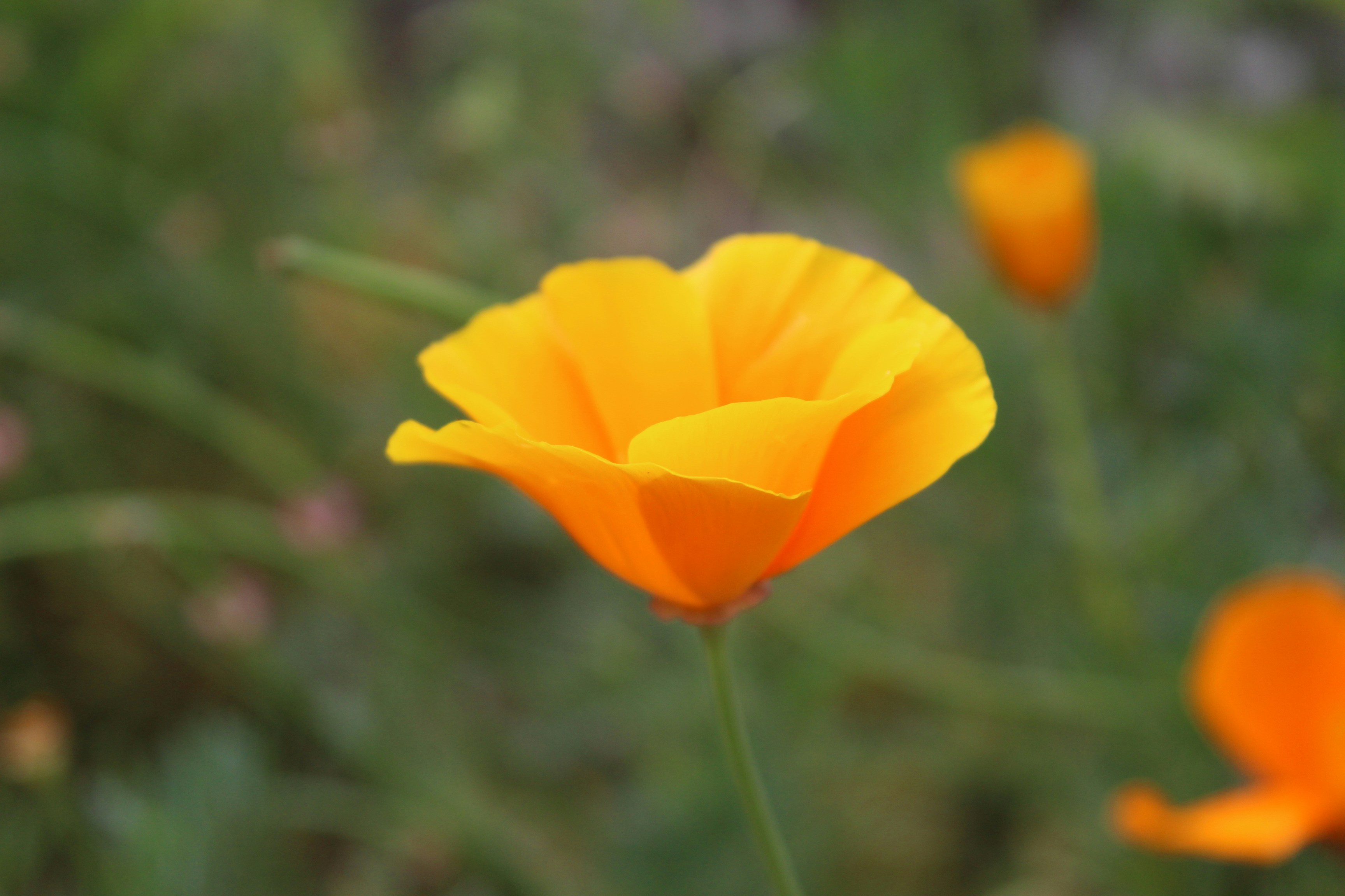 Photo by fran_taquionica