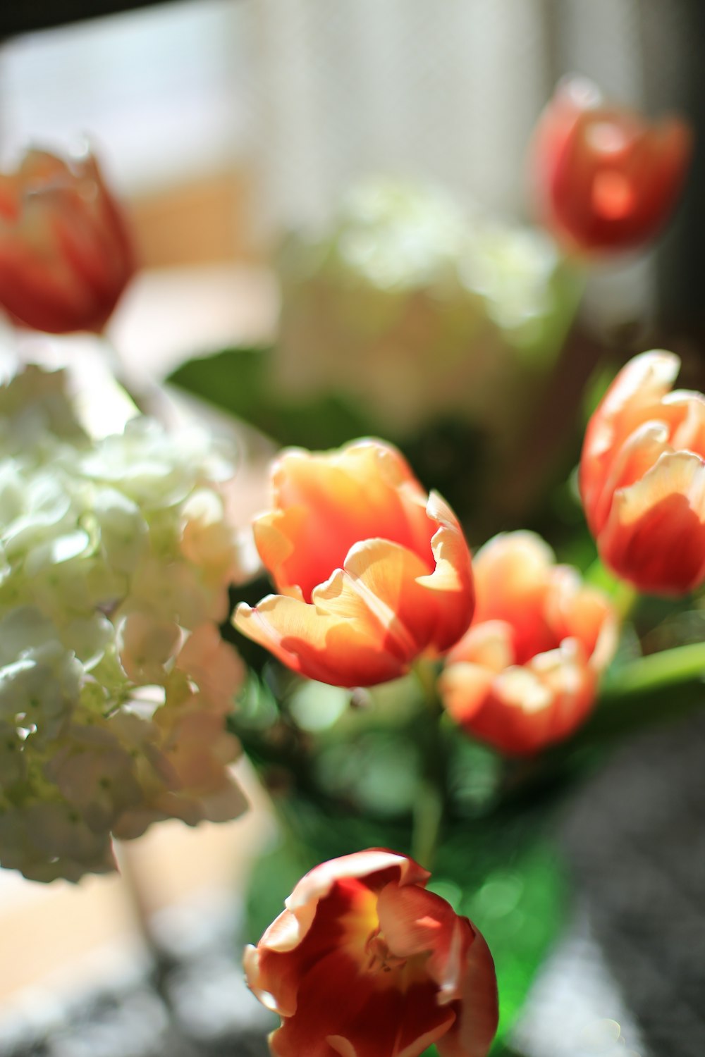 a vase filled with red and white flowers