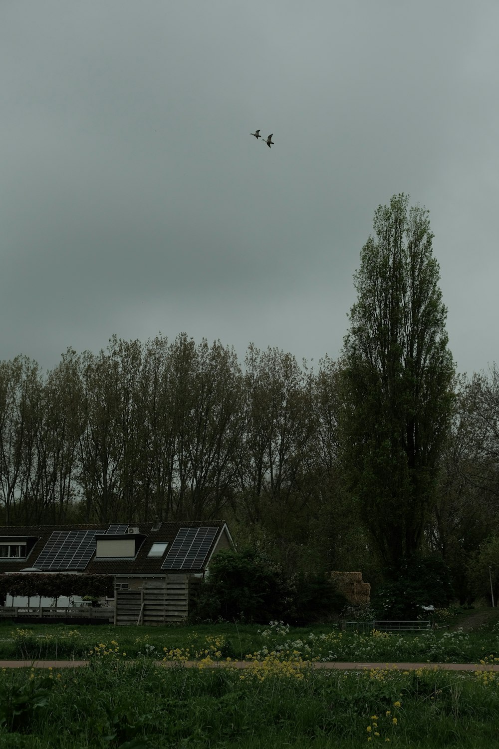 a plane flying over a house in a field