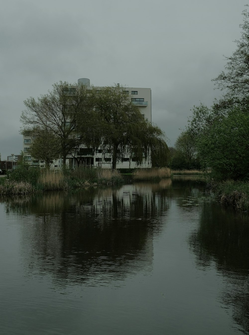 a body of water with a building in the background