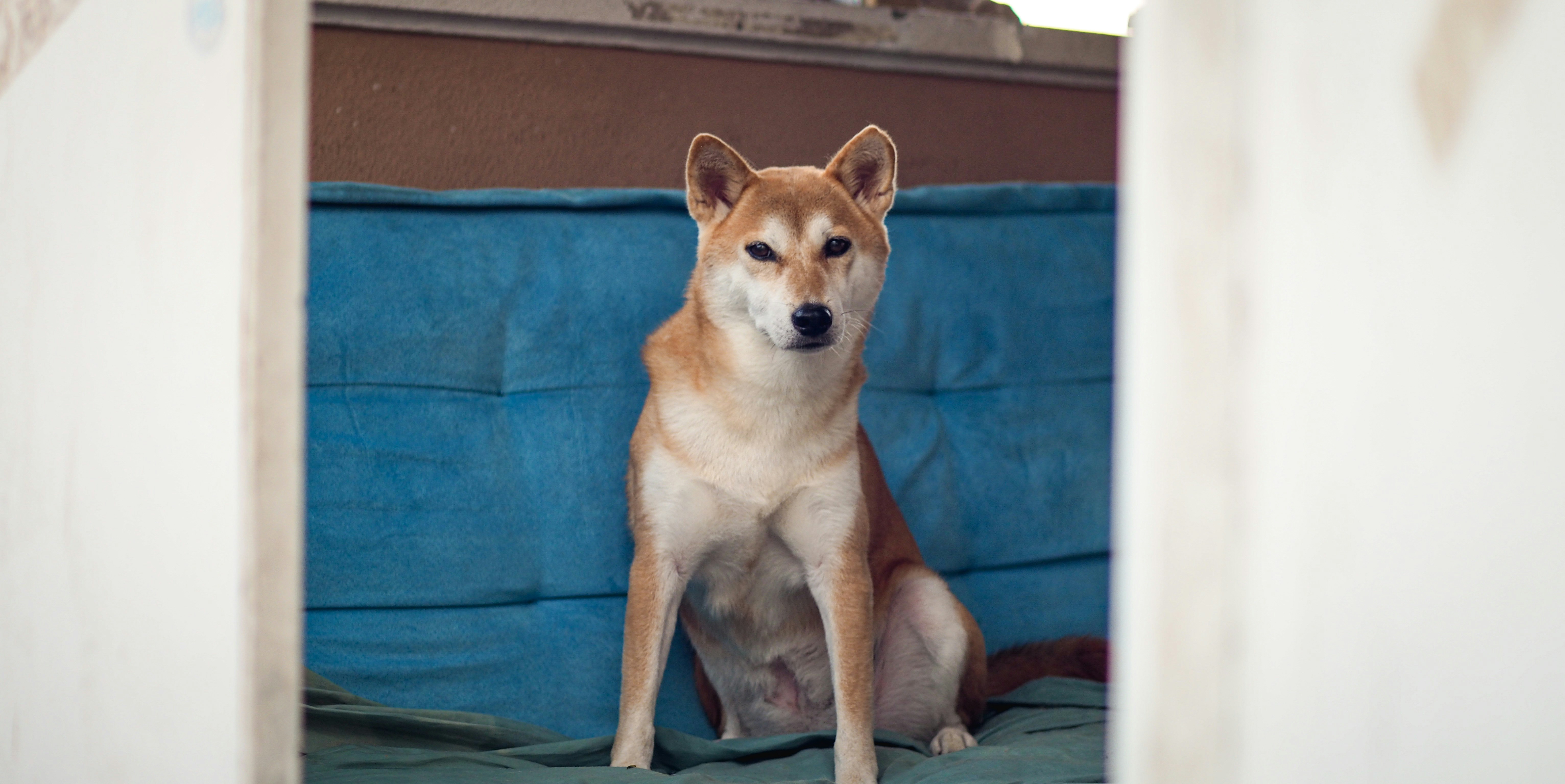 Photo by metabakrate