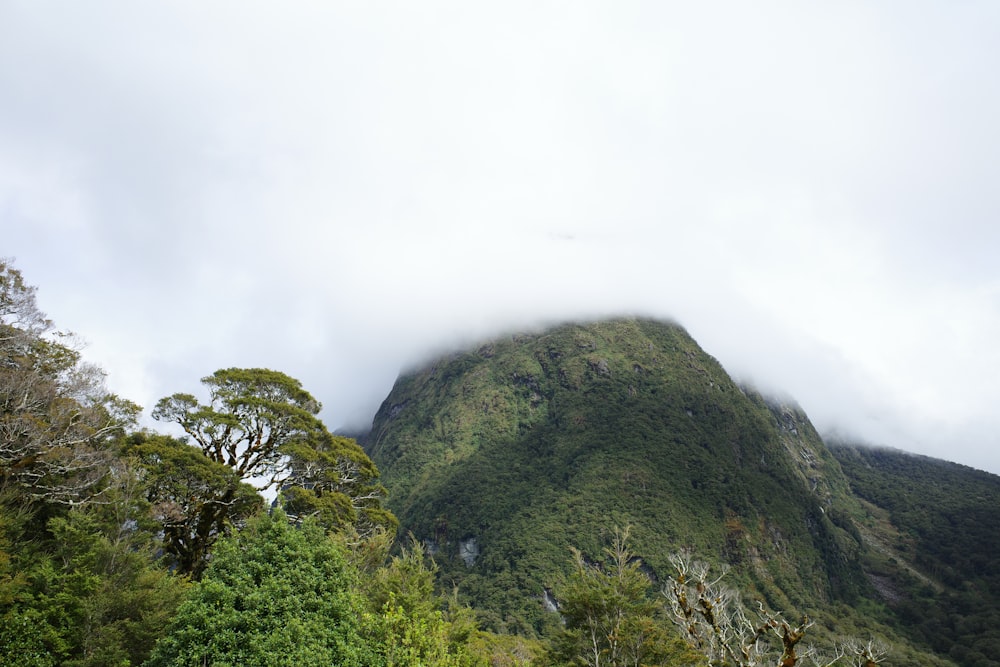 a very tall mountain surrounded by trees on a cloudy day