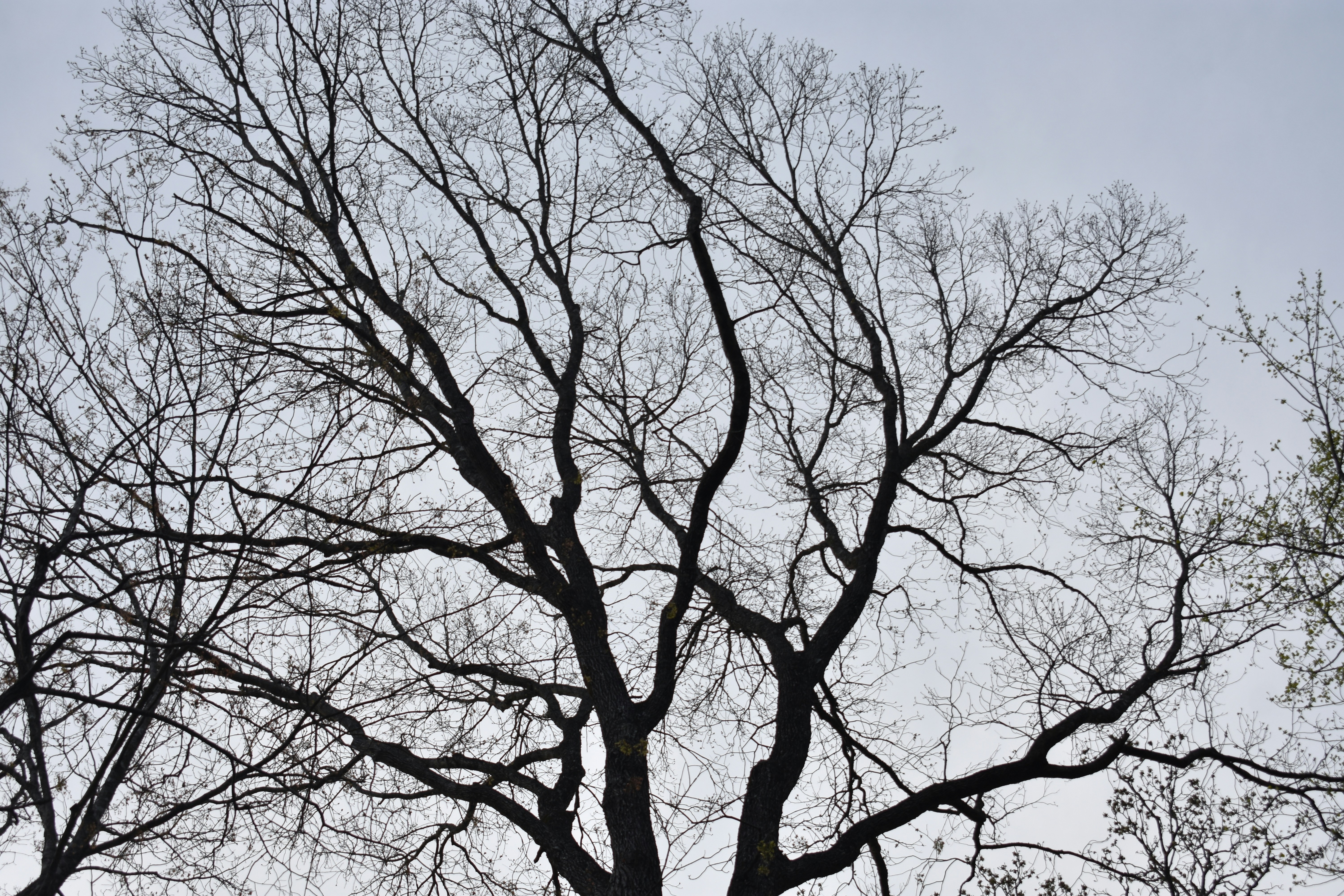 Photo by audrivangores