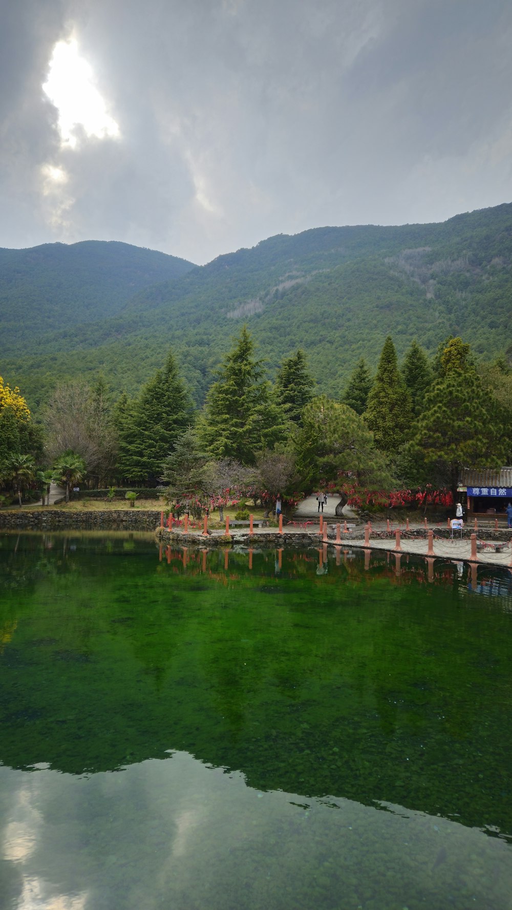 a body of water surrounded by trees and mountains