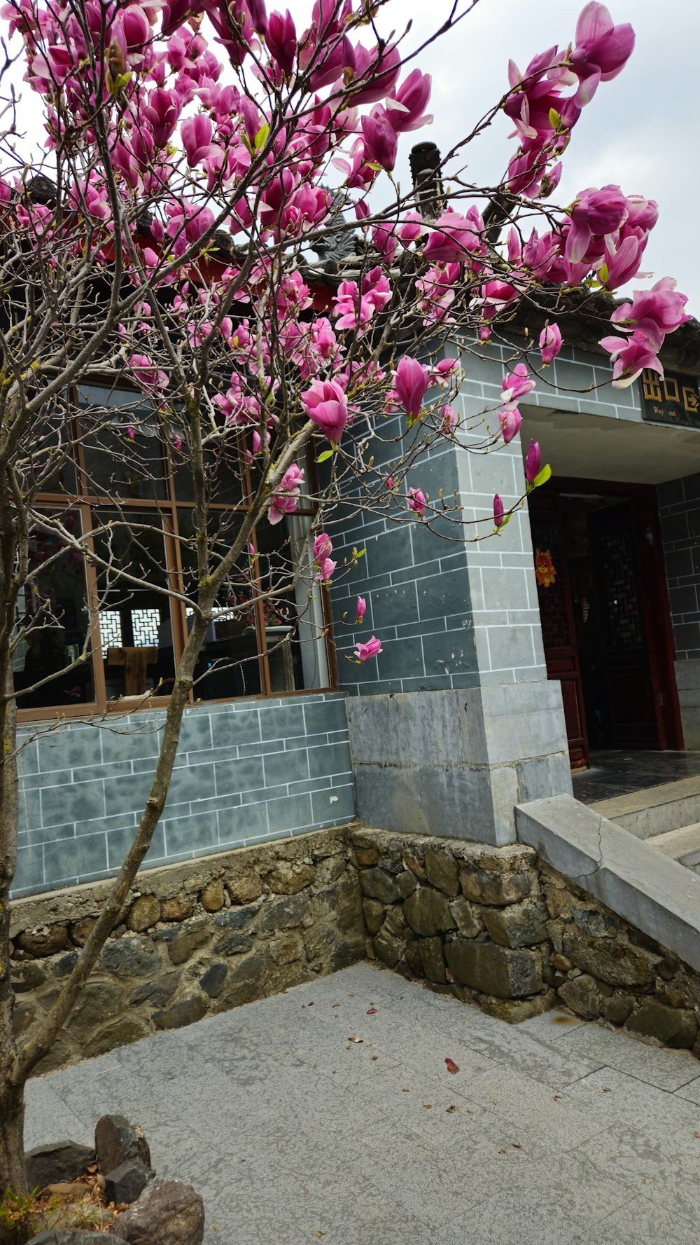 a tree with pink flowers in front of a building