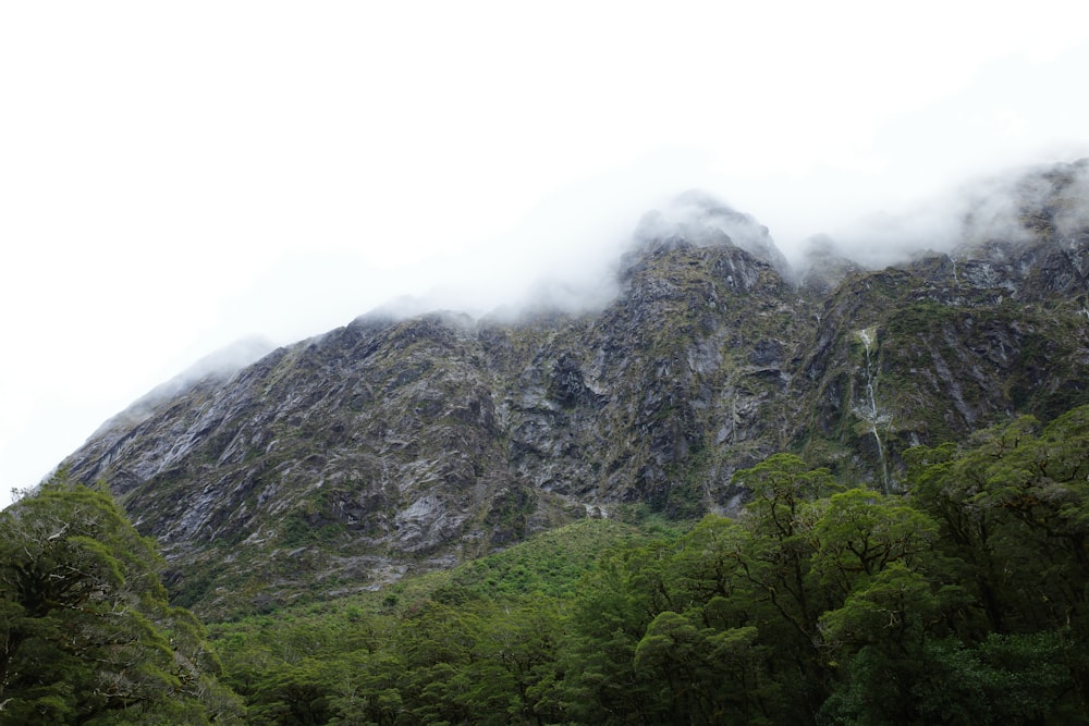 a mountain covered in clouds and trees