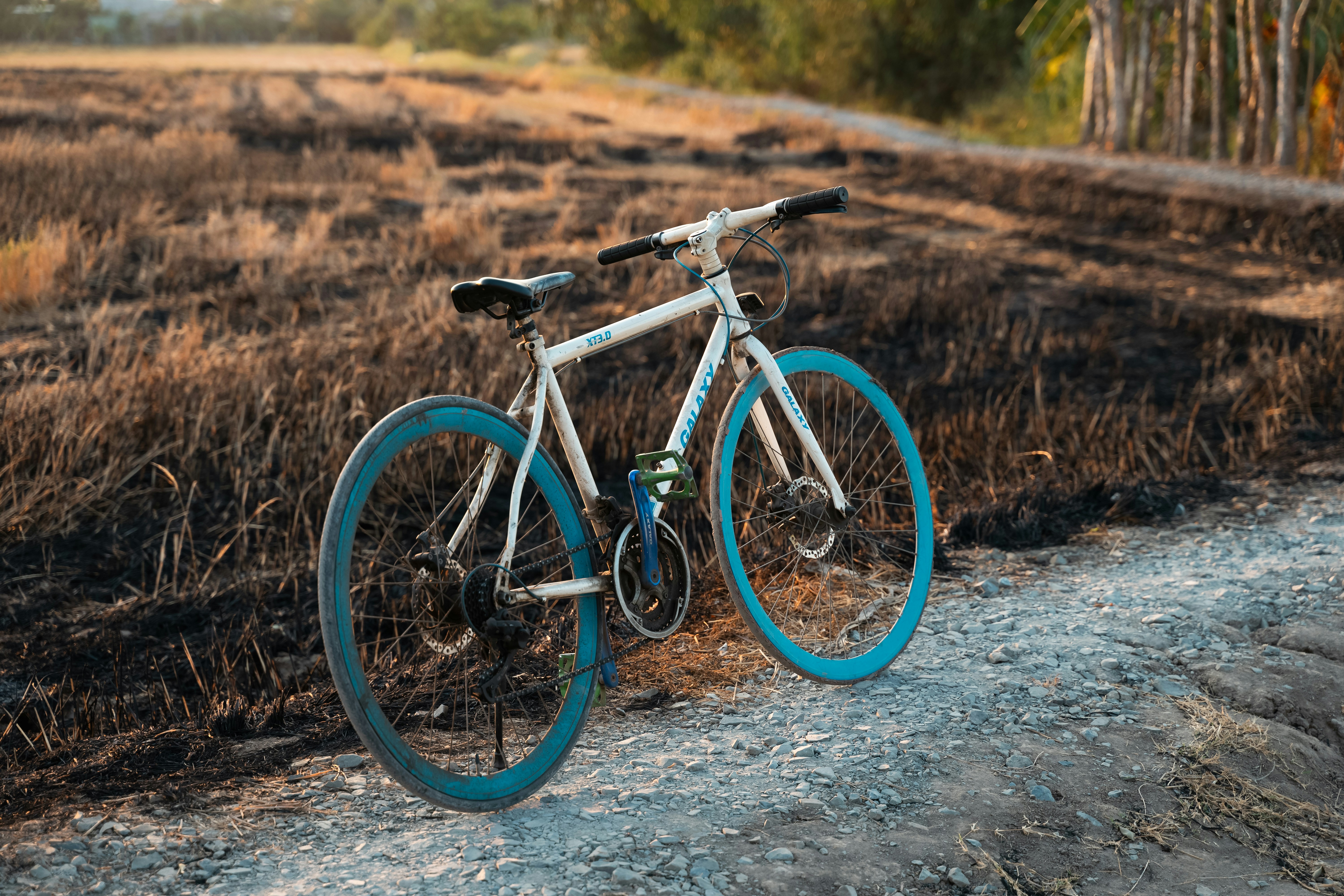 a blue and white bicycle parked on the side of a dirt road