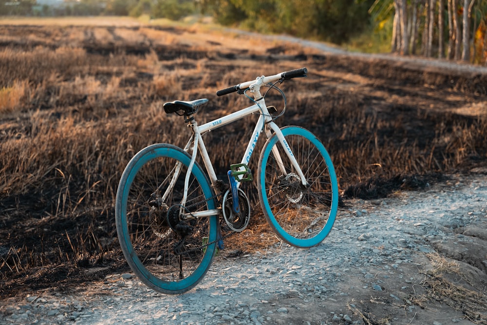 a blue and white bicycle parked on the side of a dirt road