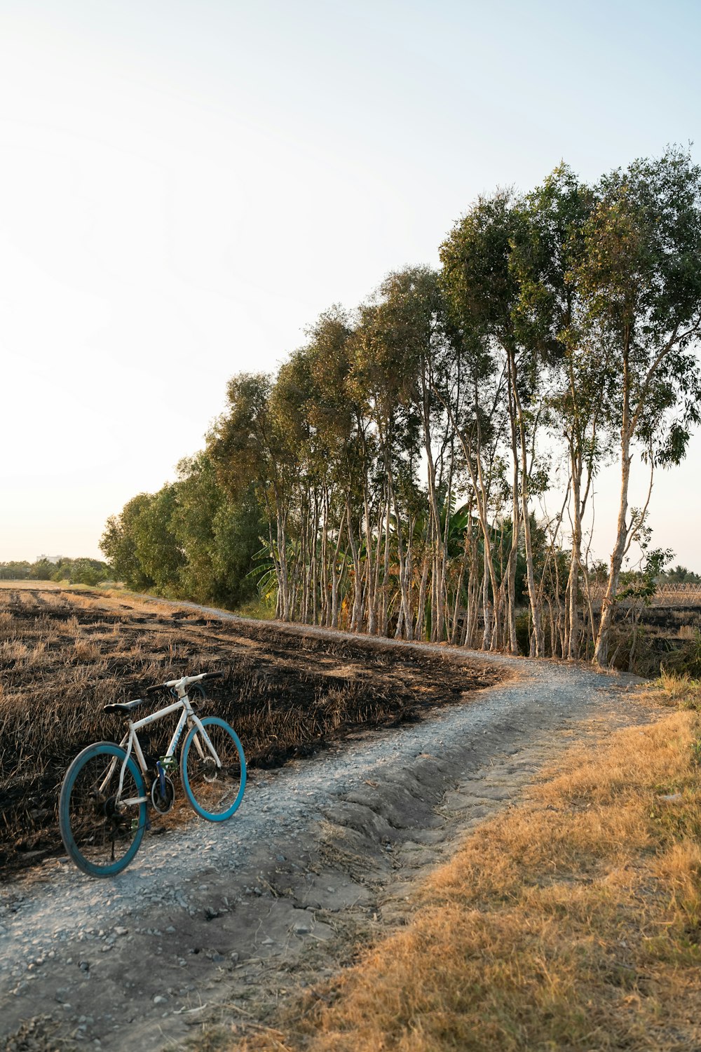 a bike parked on a dirt road next to a field