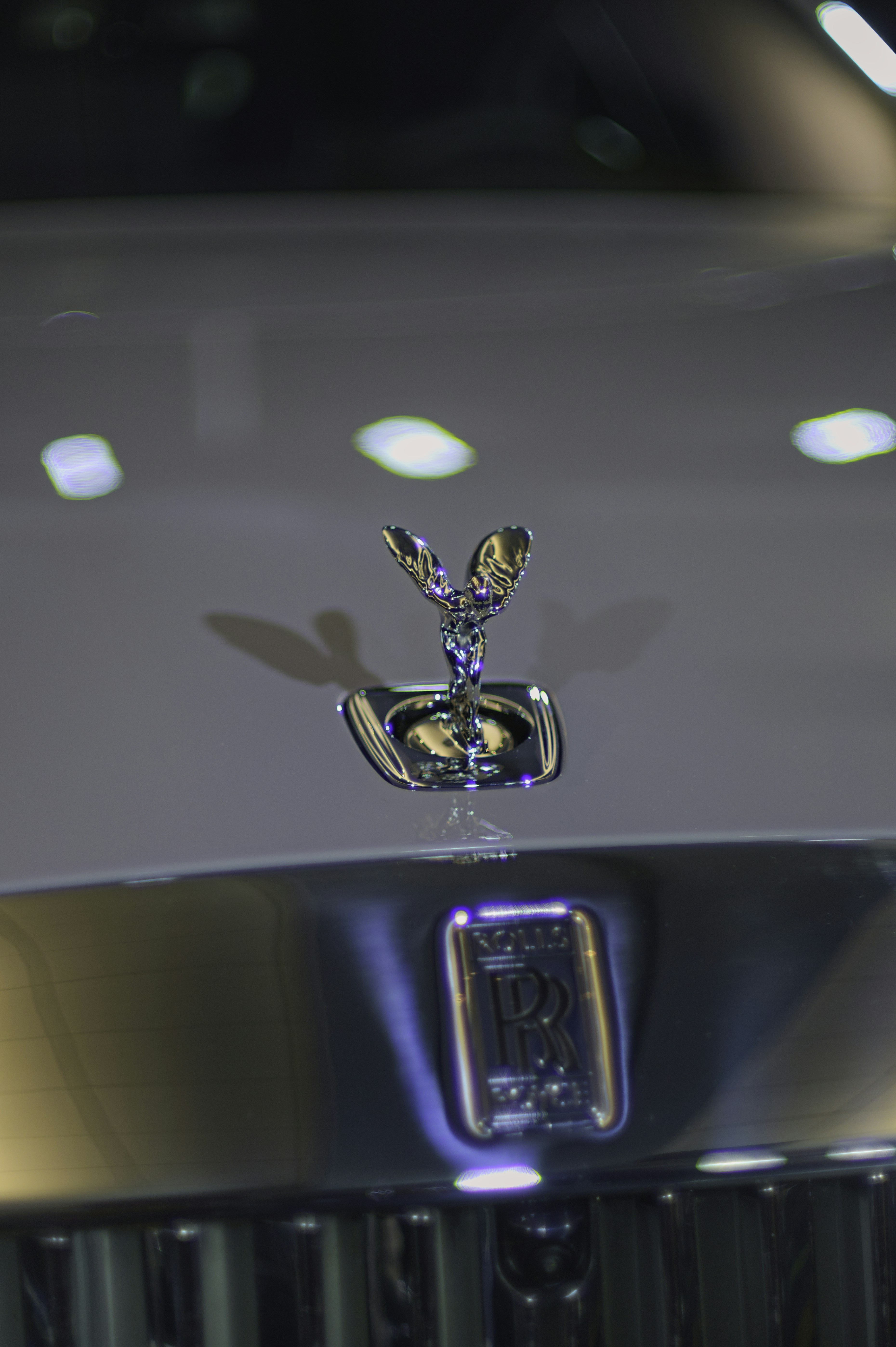 the emblem on the front of a car