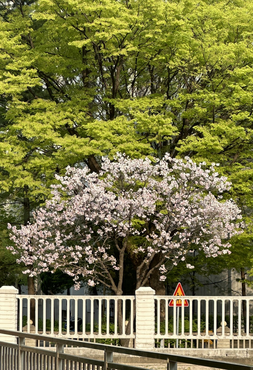 a white fence with a tree in the background