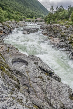 a river running through a lush green forest