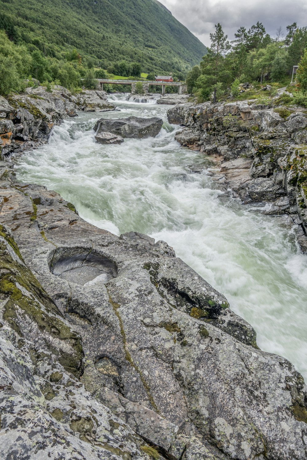 a river running through a lush green forest