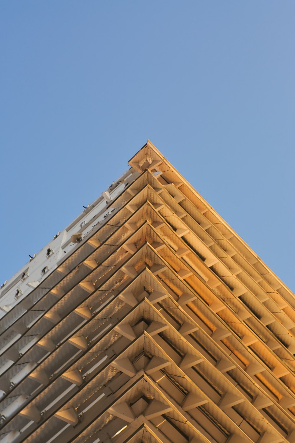 a bird is perched on the roof of a building