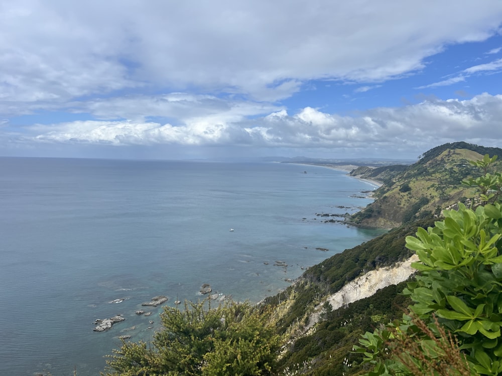 a scenic view of the ocean from a hill