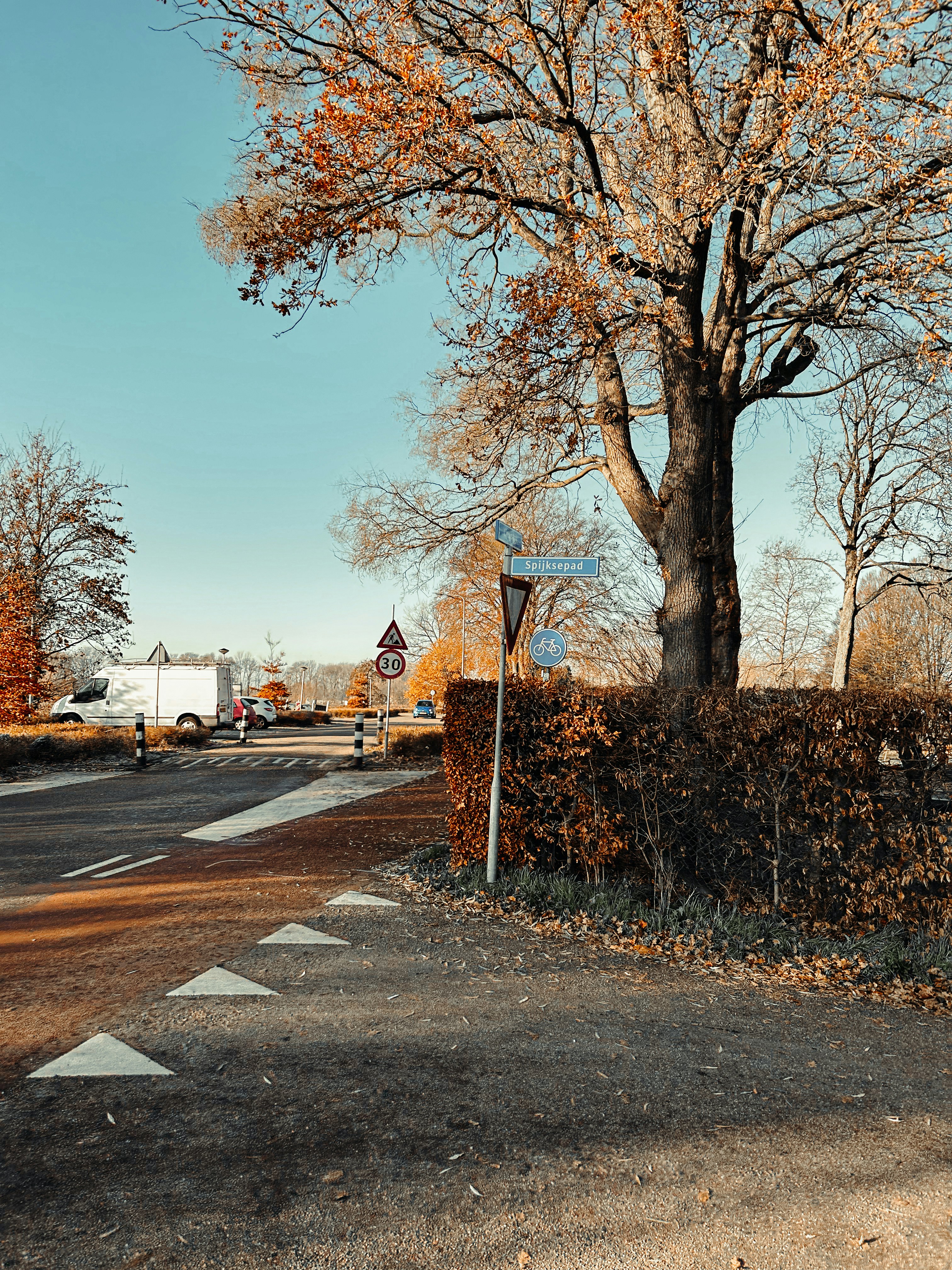 Photo by janilson_oficial