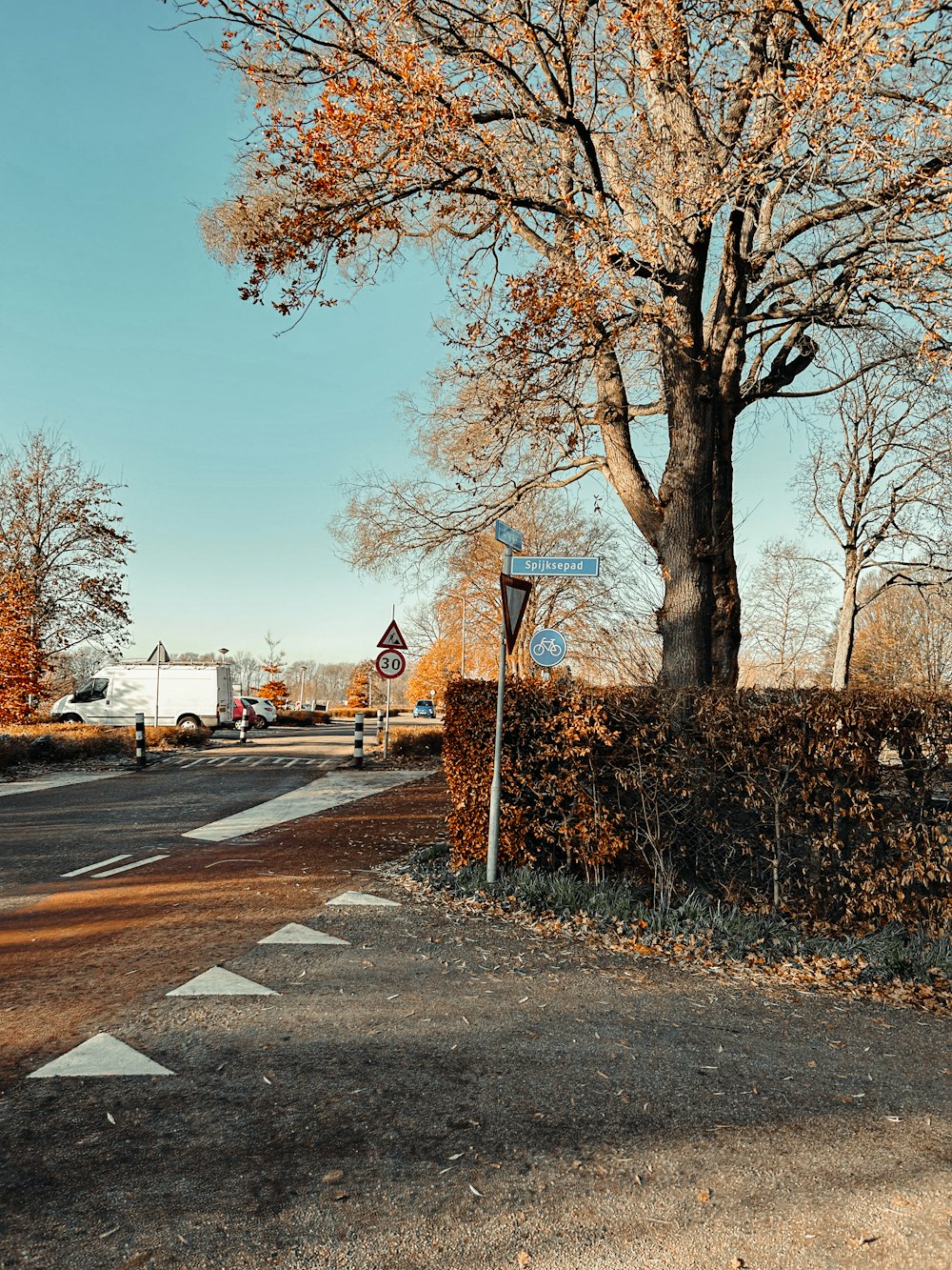 a street with a tree and a street sign