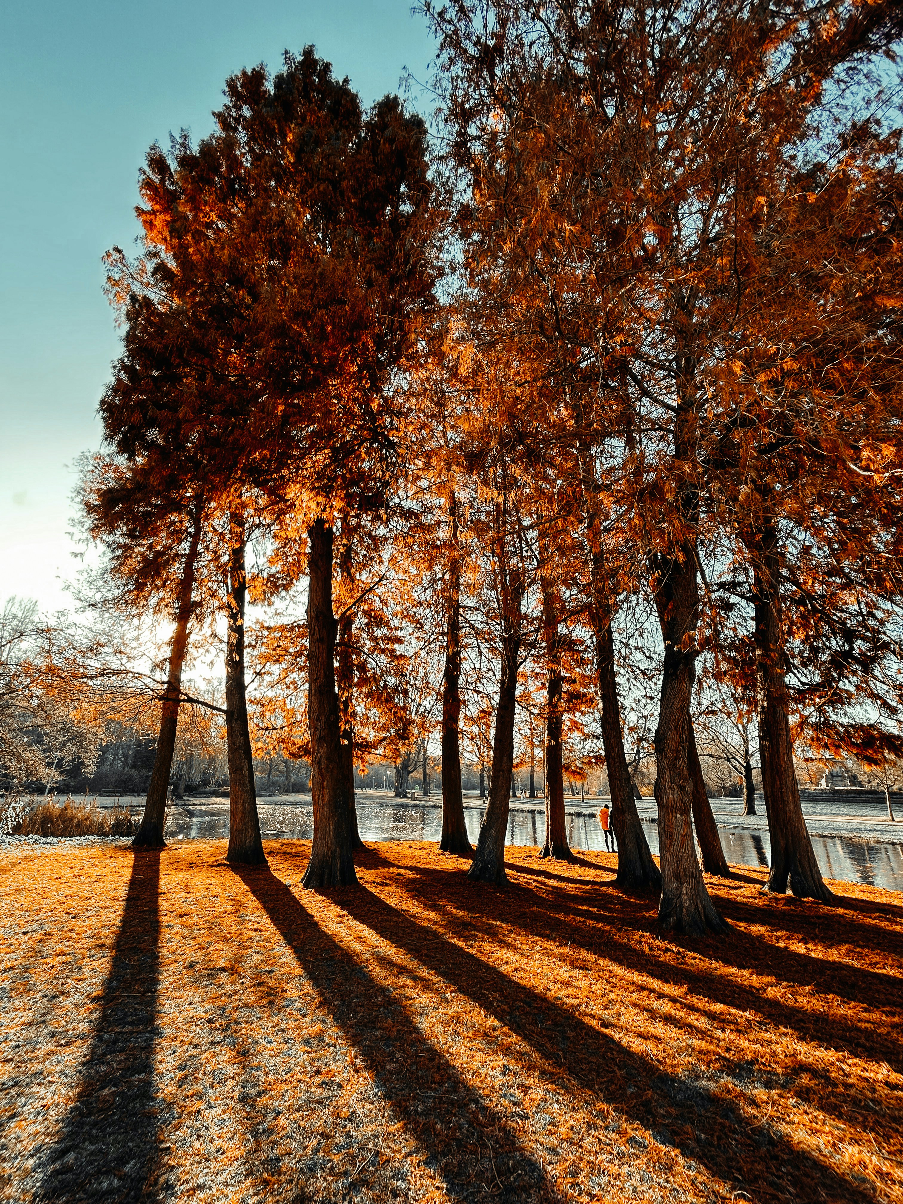 Photo by janilson_oficial