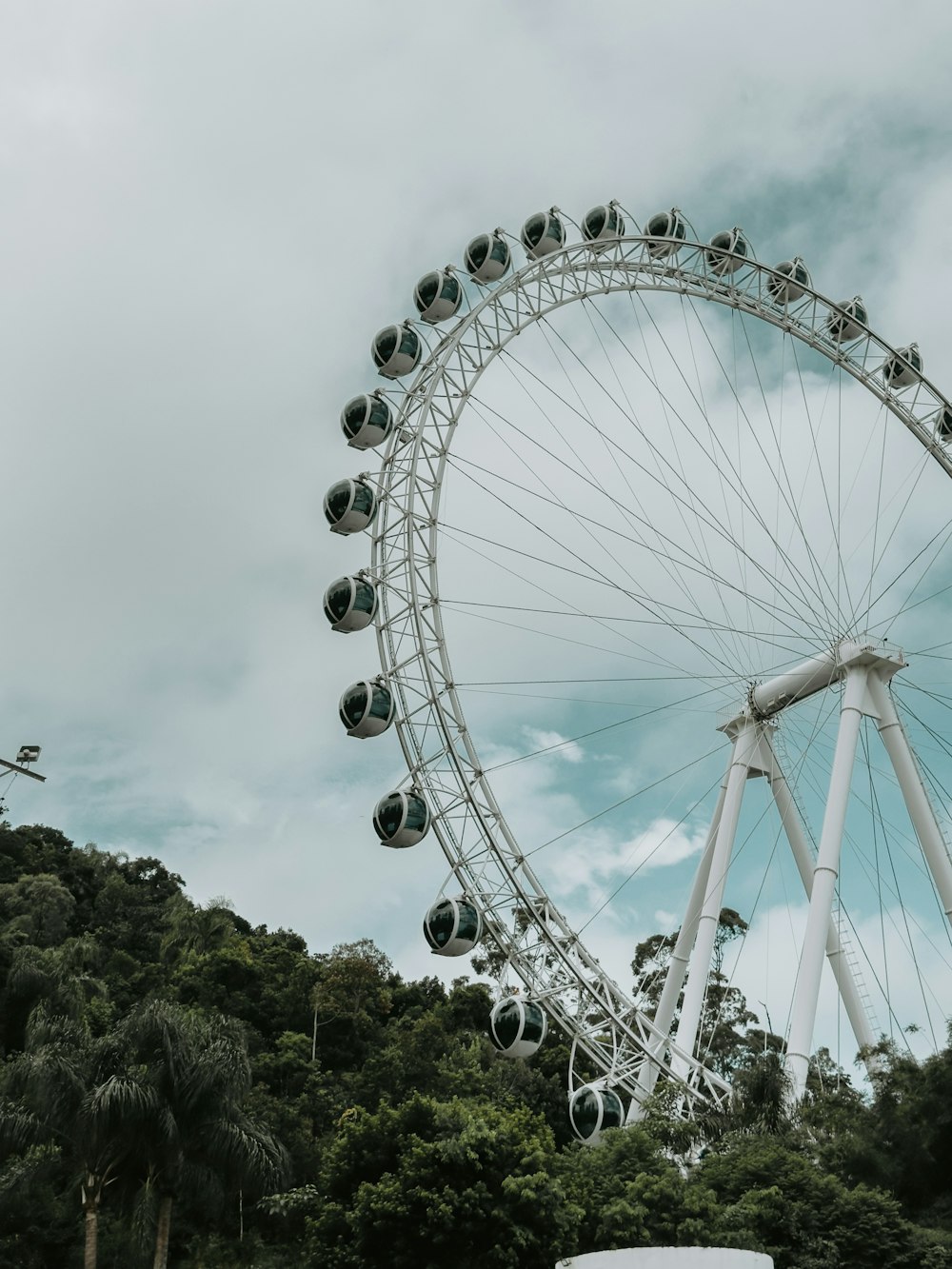 a large ferris wheel on a cloudy day
