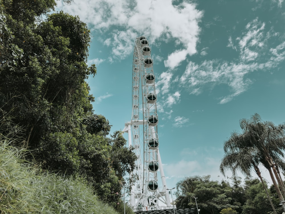 a ferris wheel in the middle of a park