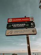 a bunch of signs that are on top of a pole