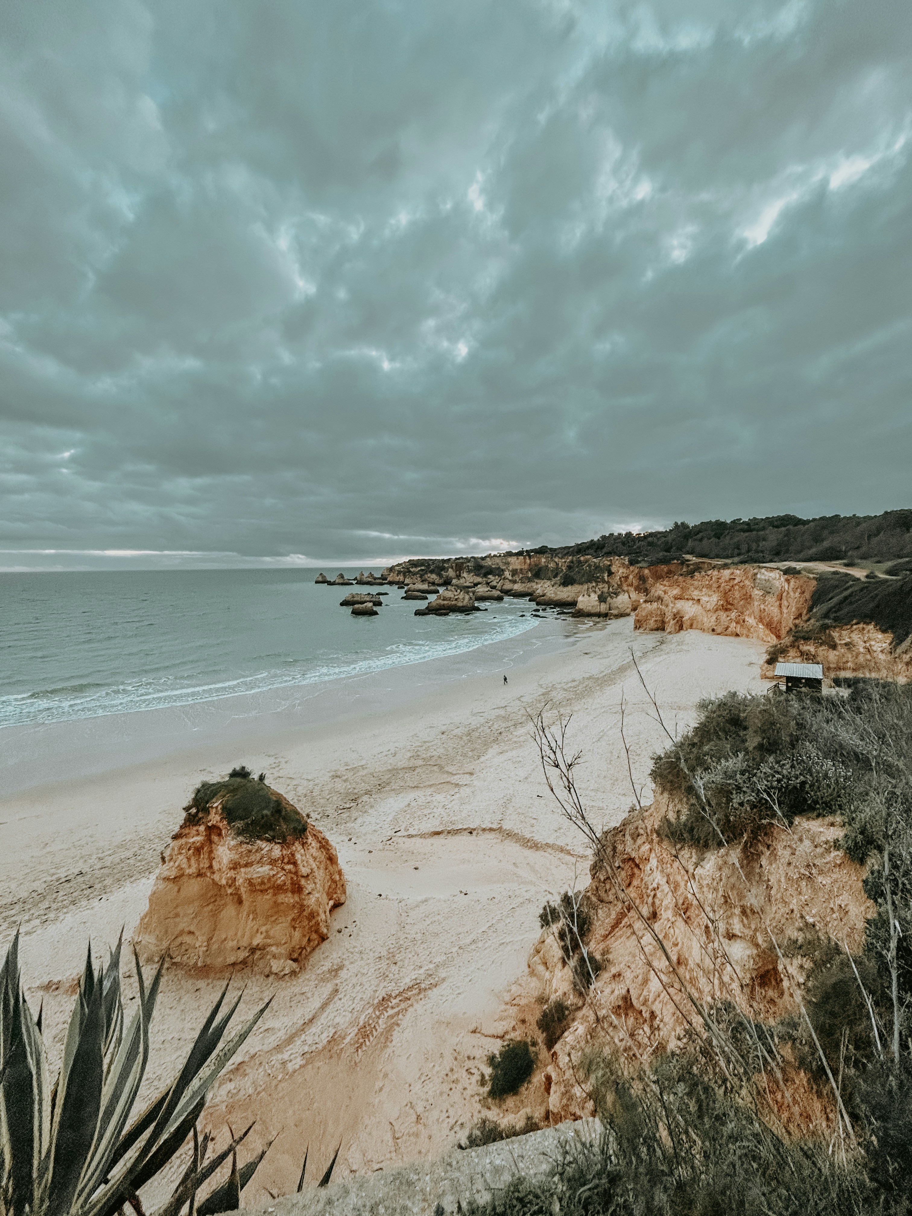 Photo by janilson_oficial