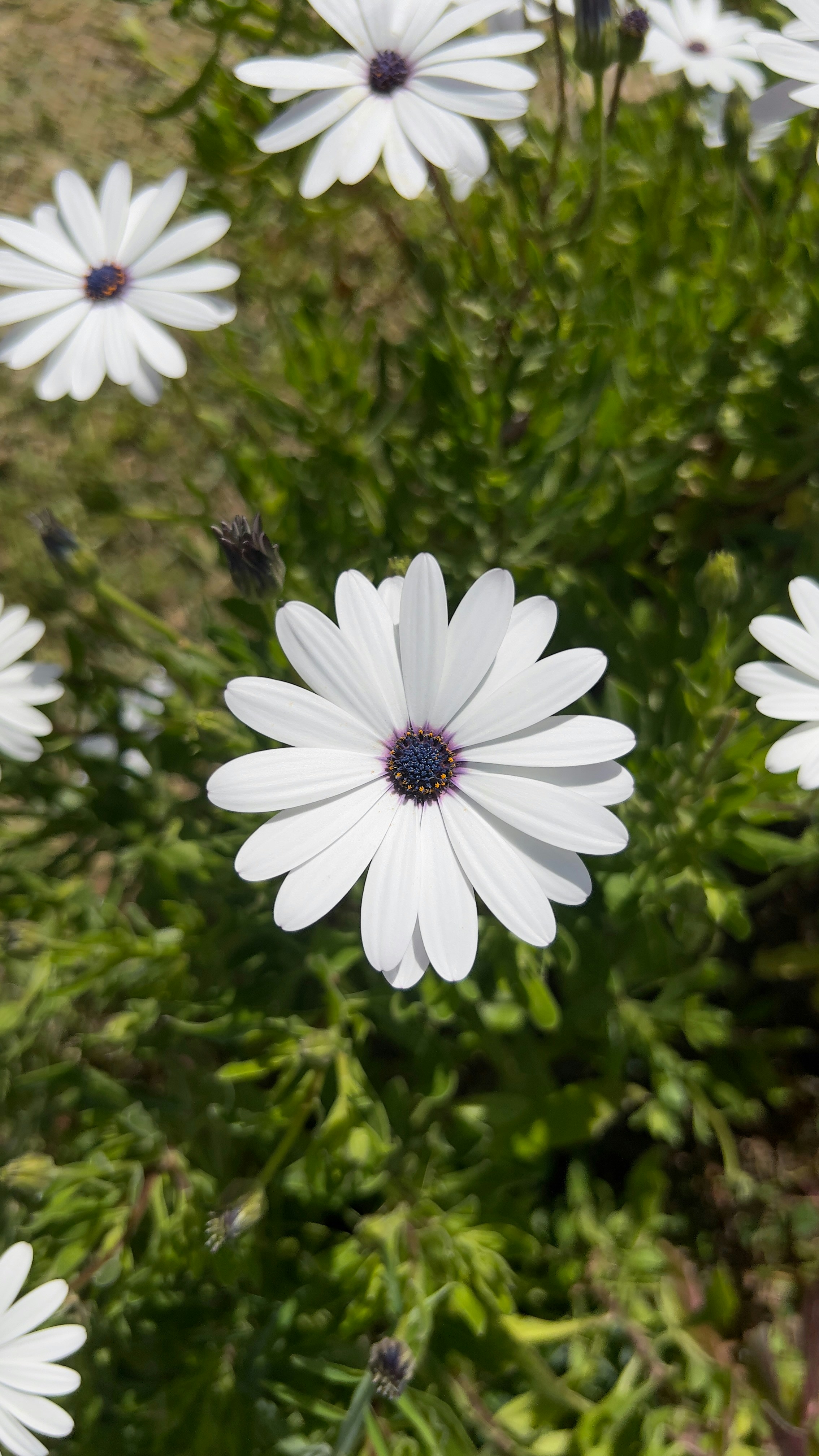 Photo by sandyonmars