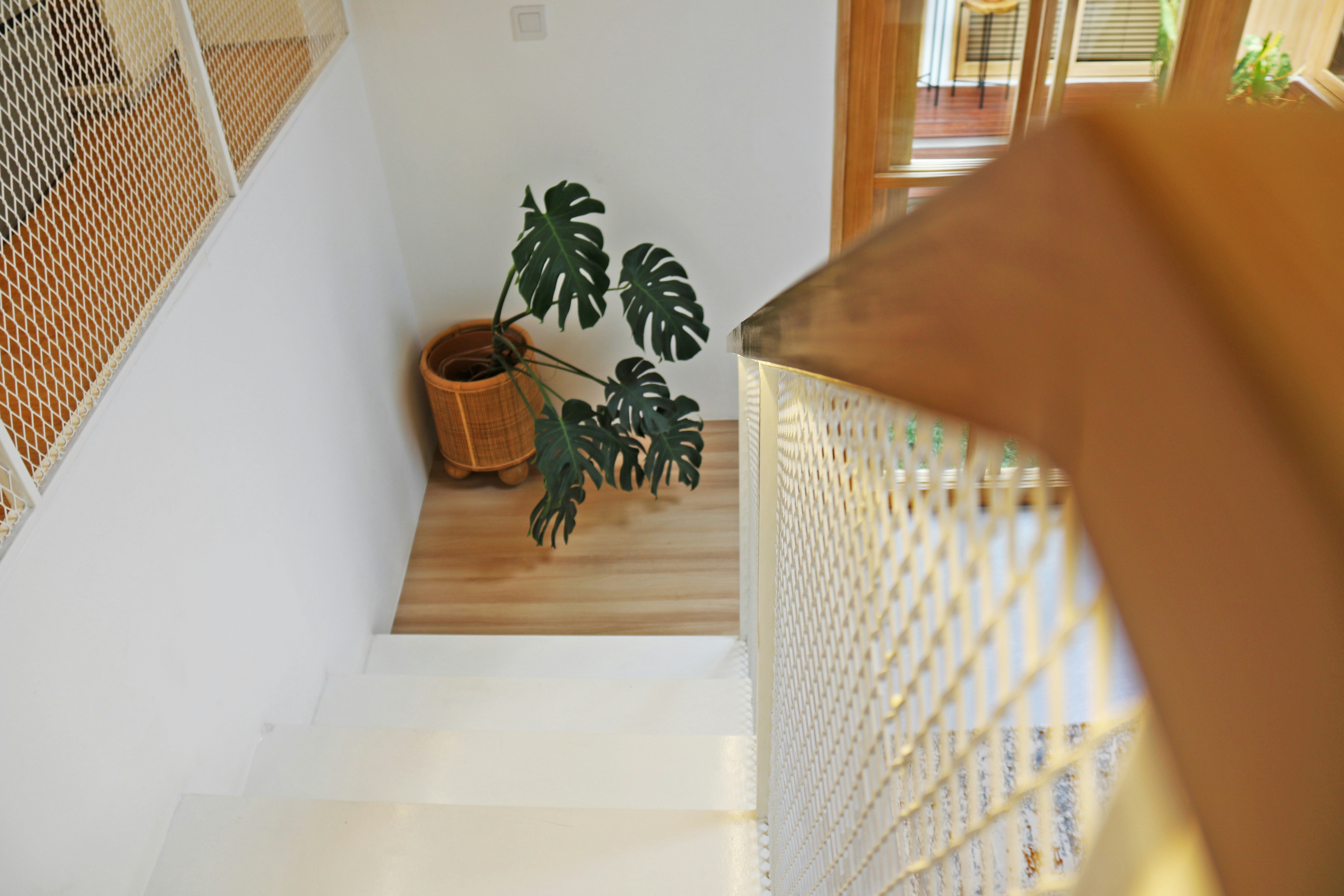 Photo by justmee_project