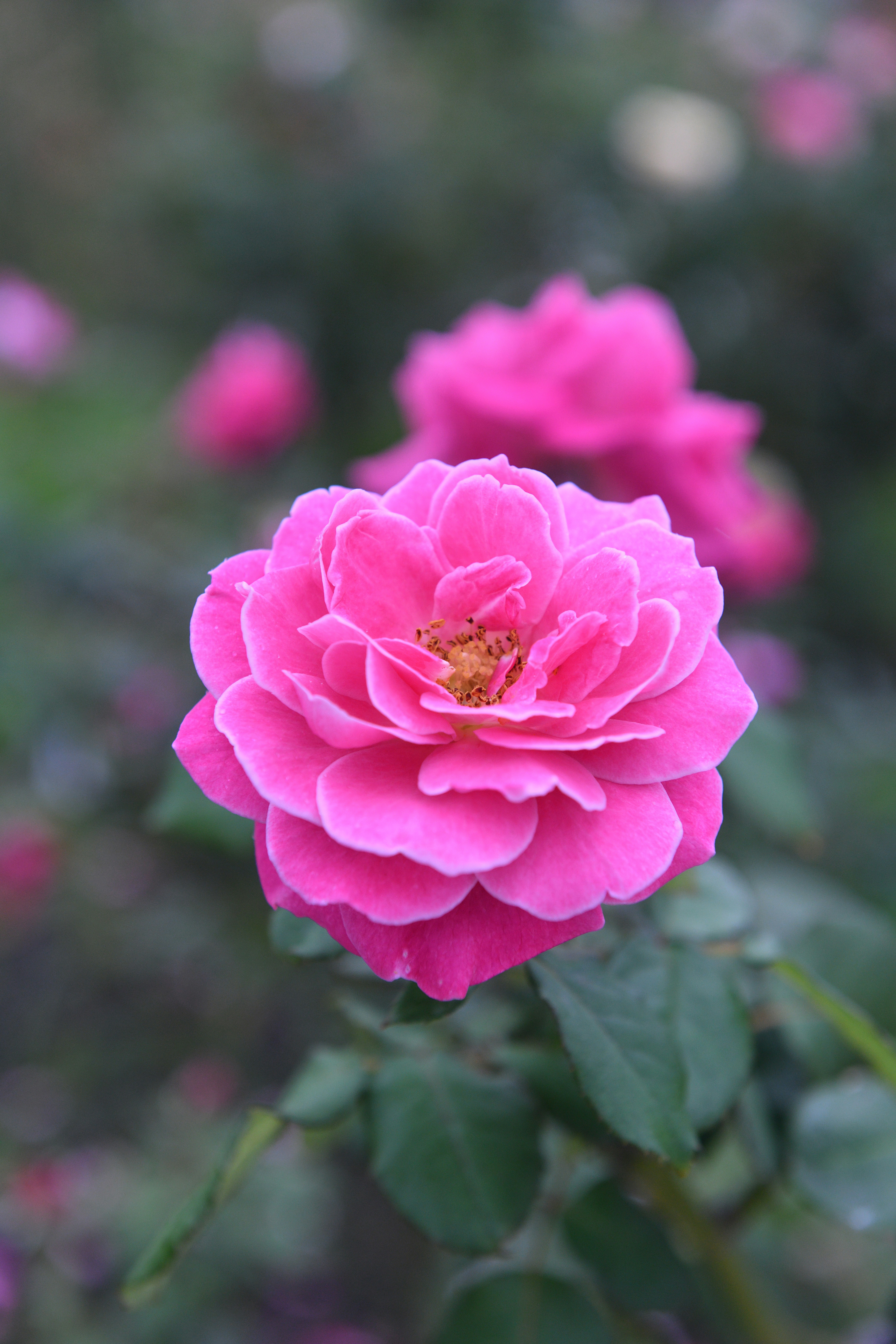 Photo by jason_taiwan