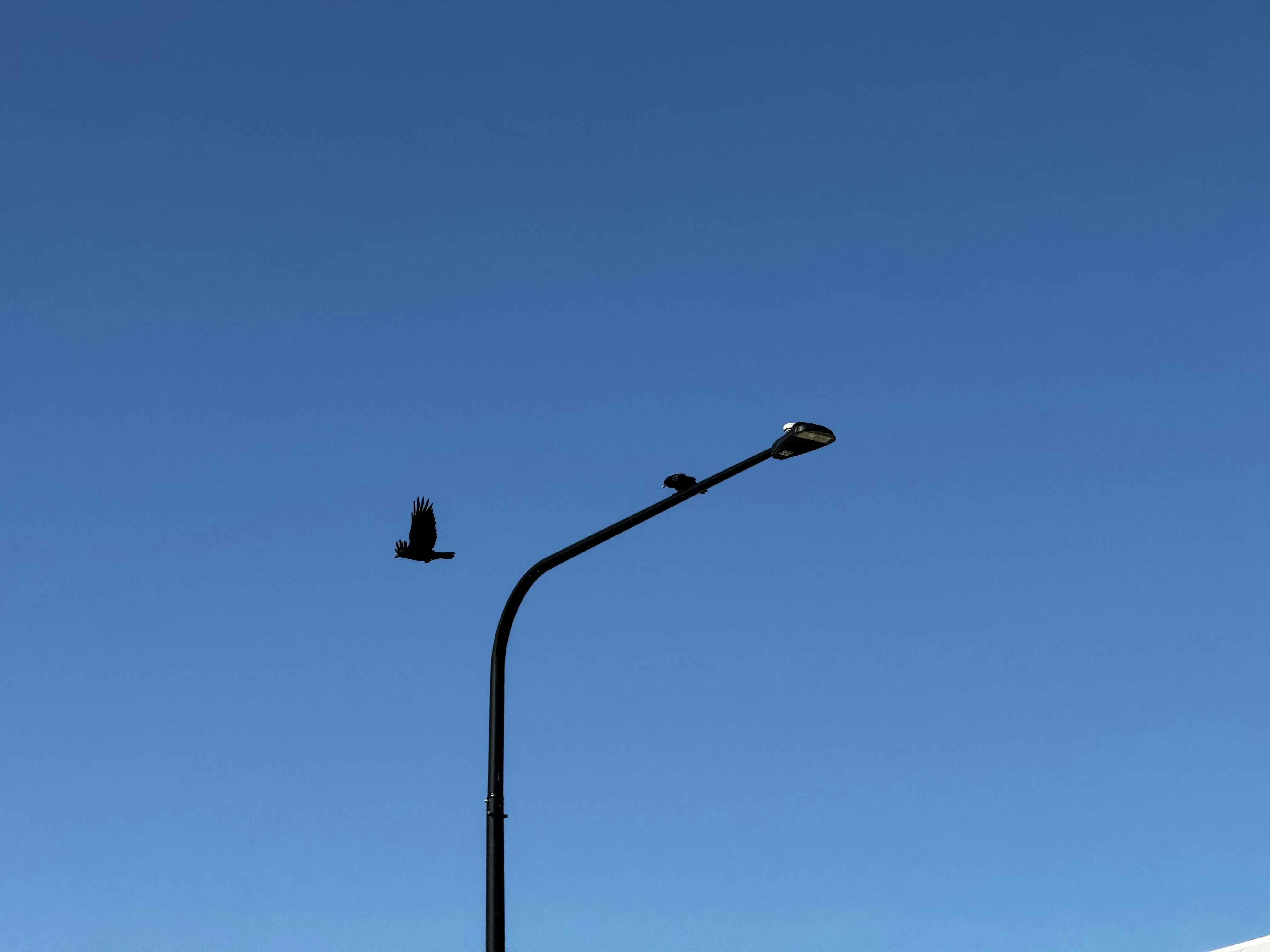 Photo by jincheng_1999