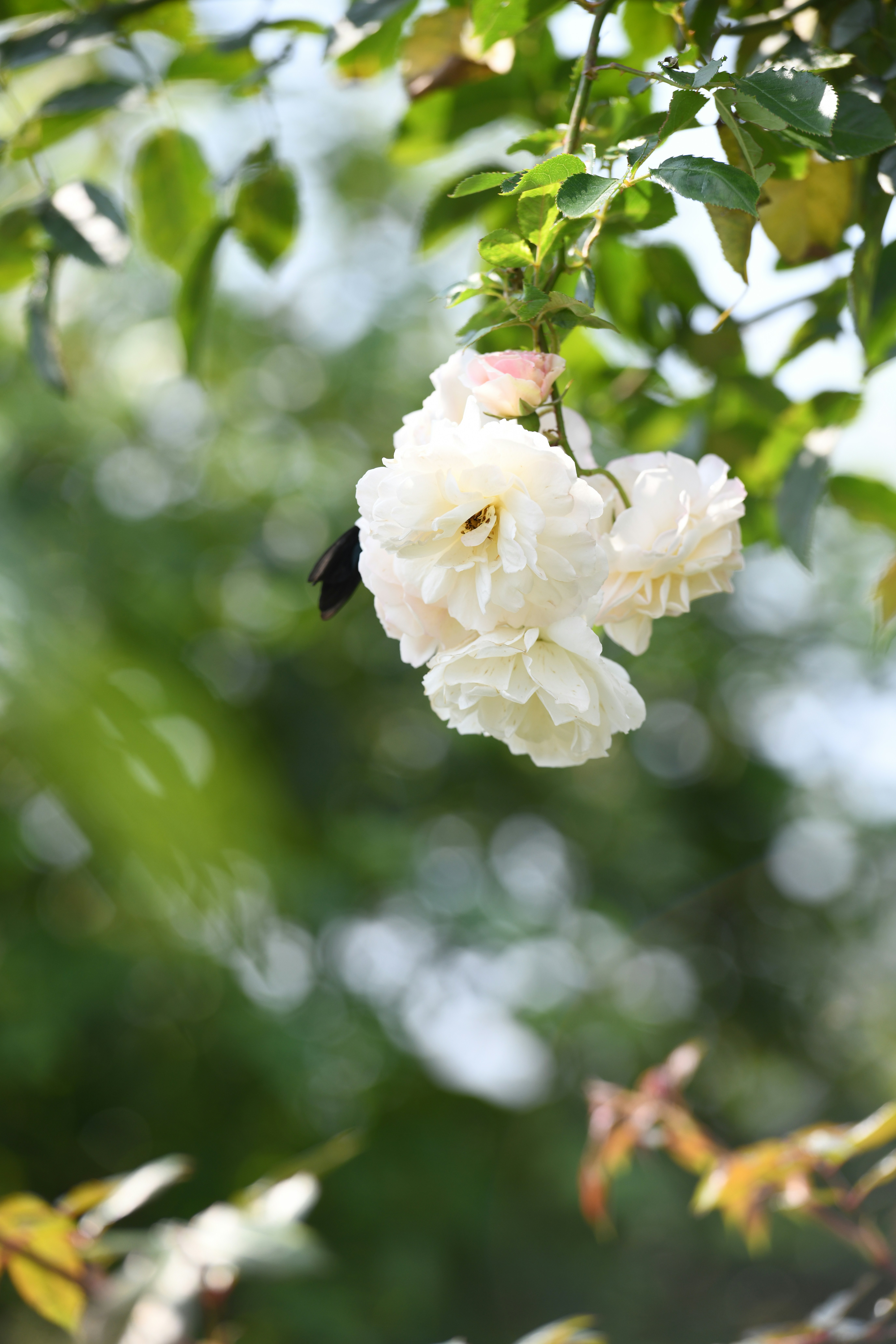 Photo by jason_taiwan