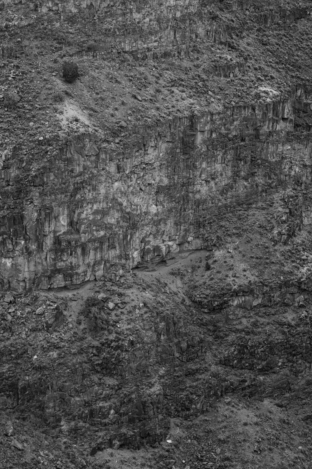 a black and white photo of a cliff face