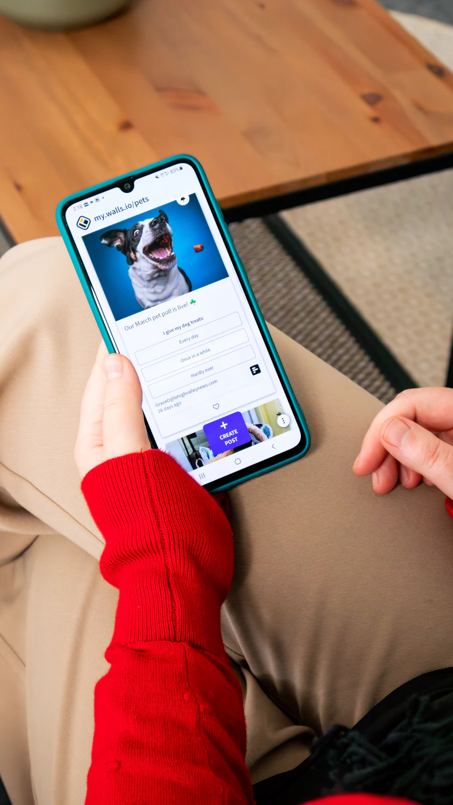 A pet owner viewing a dog on a phone screen