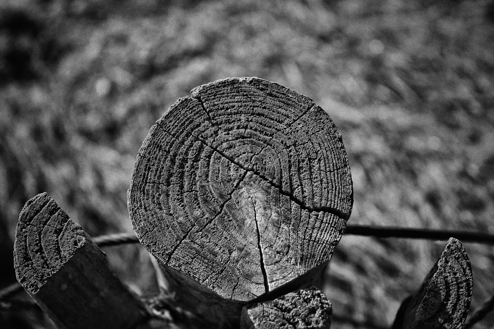 a close up of a piece of wood on a fence