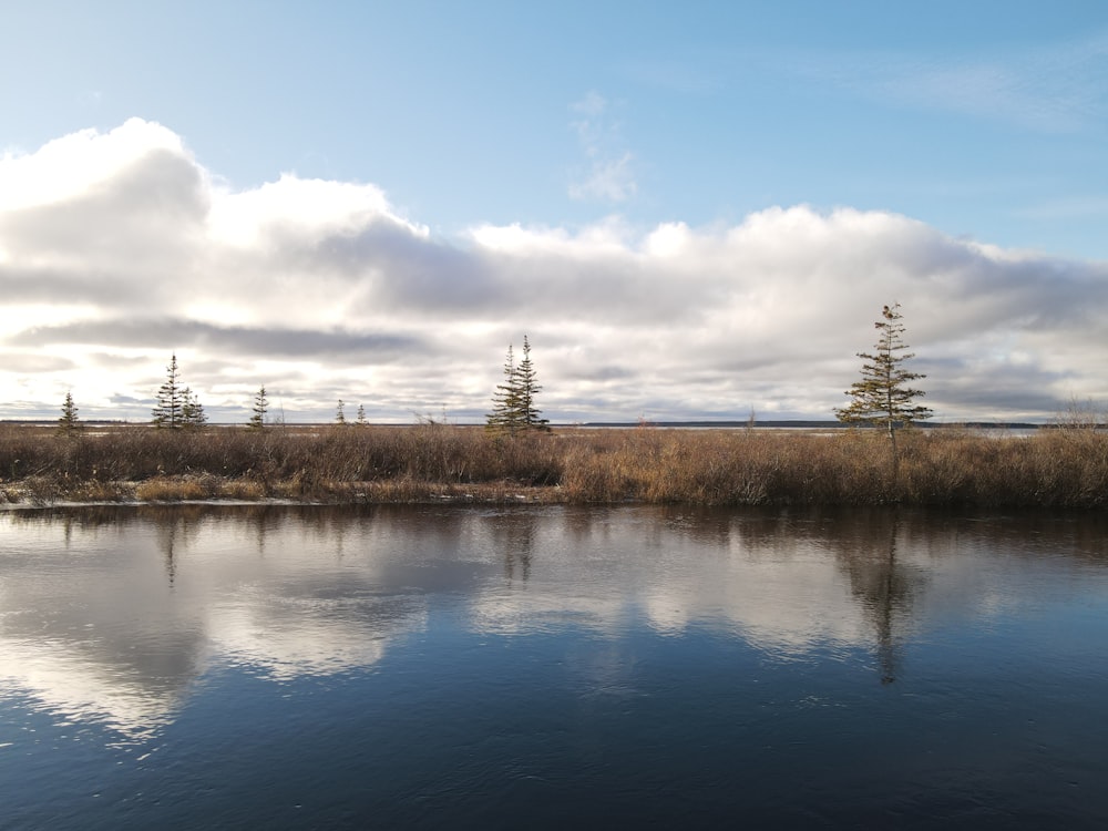 a body of water surrounded by grass and trees