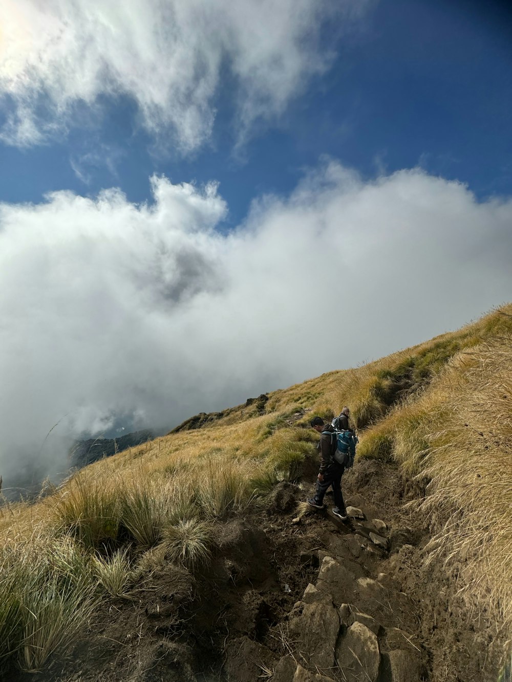 a man hiking up a hill on a cloudy day