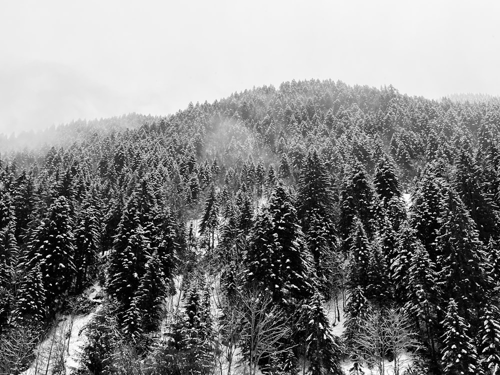 a black and white photo of a mountain covered in snow