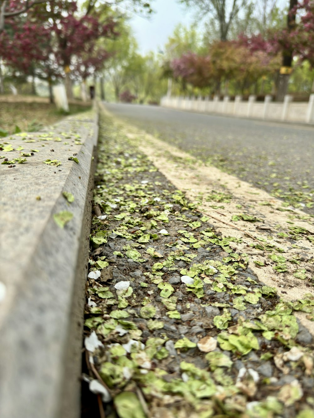 a bench sitting on the side of a road covered in leaves