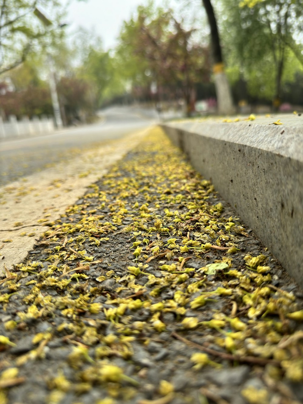 a bunch of bananas that are on the side of a road