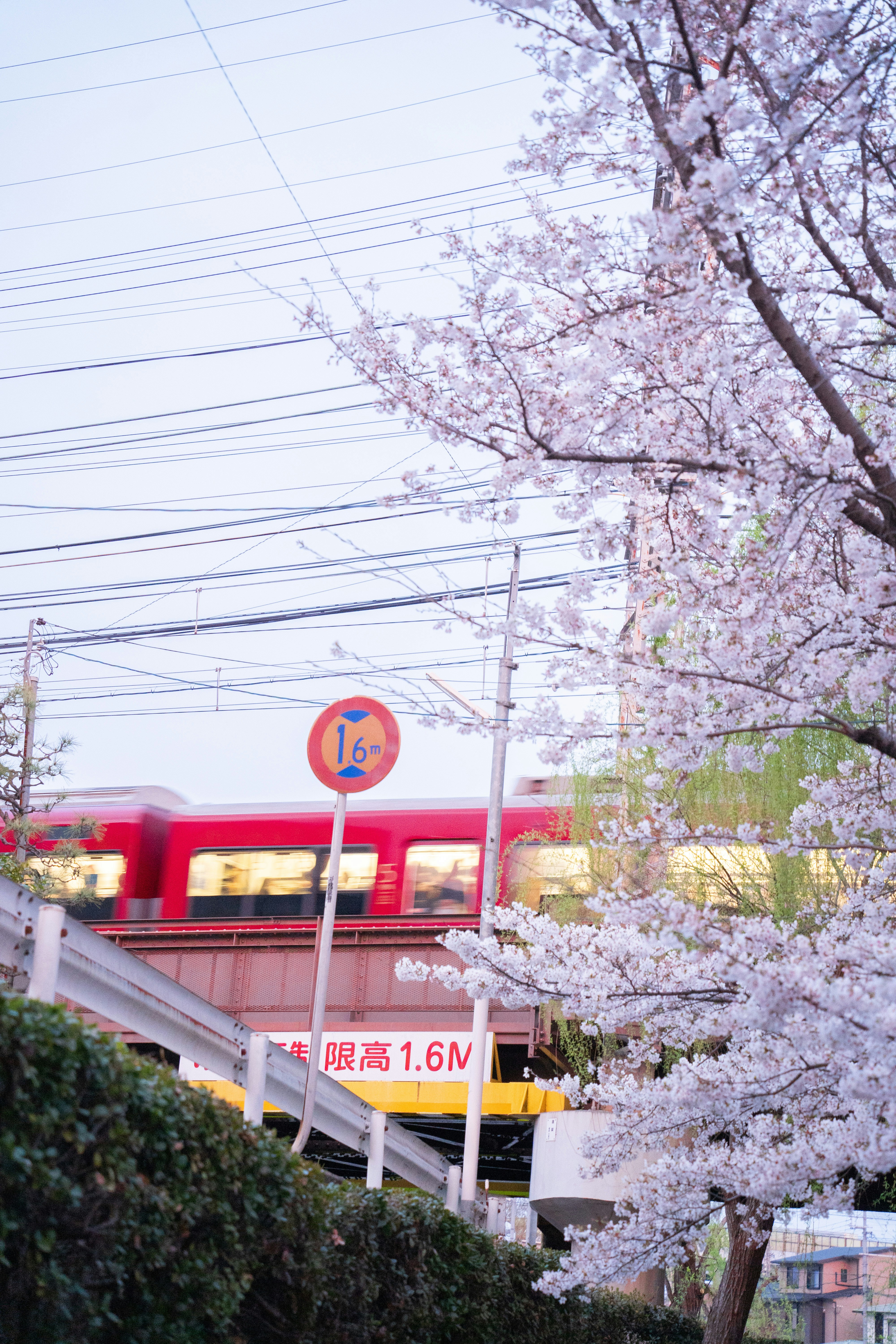 a red train traveling over a bridge next to a tree