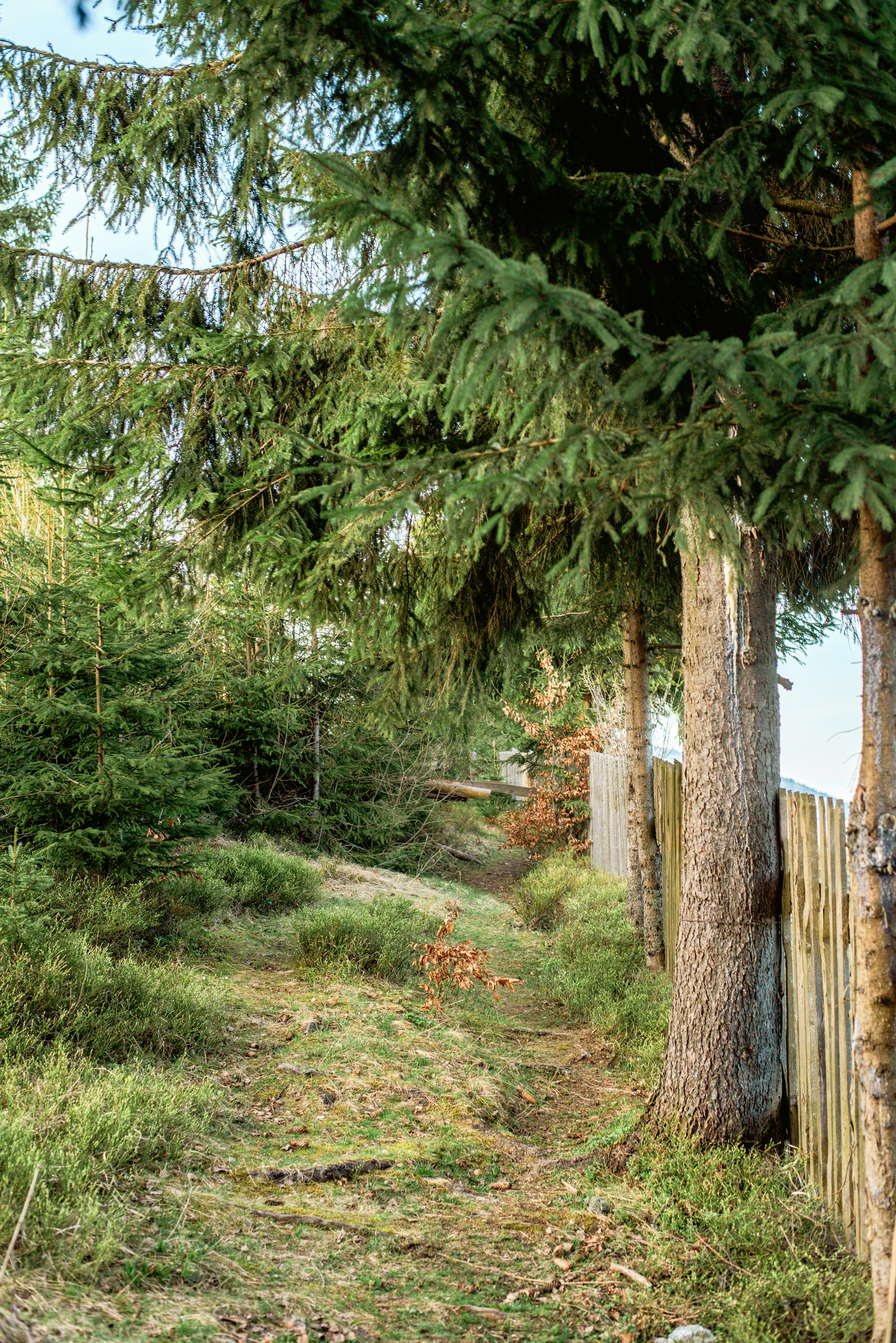 Photo by eugenivy_now