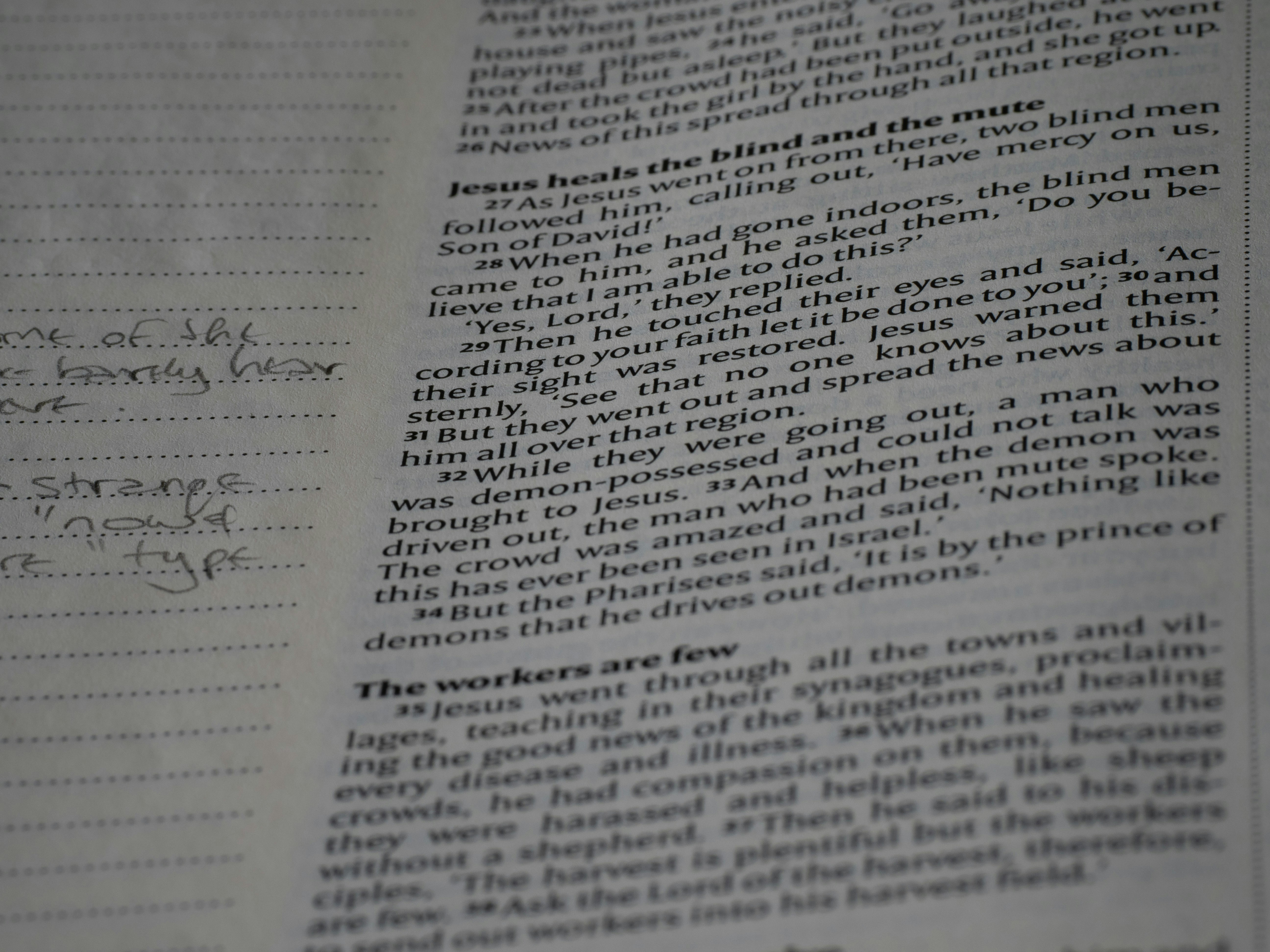 Photo by brett_jordan