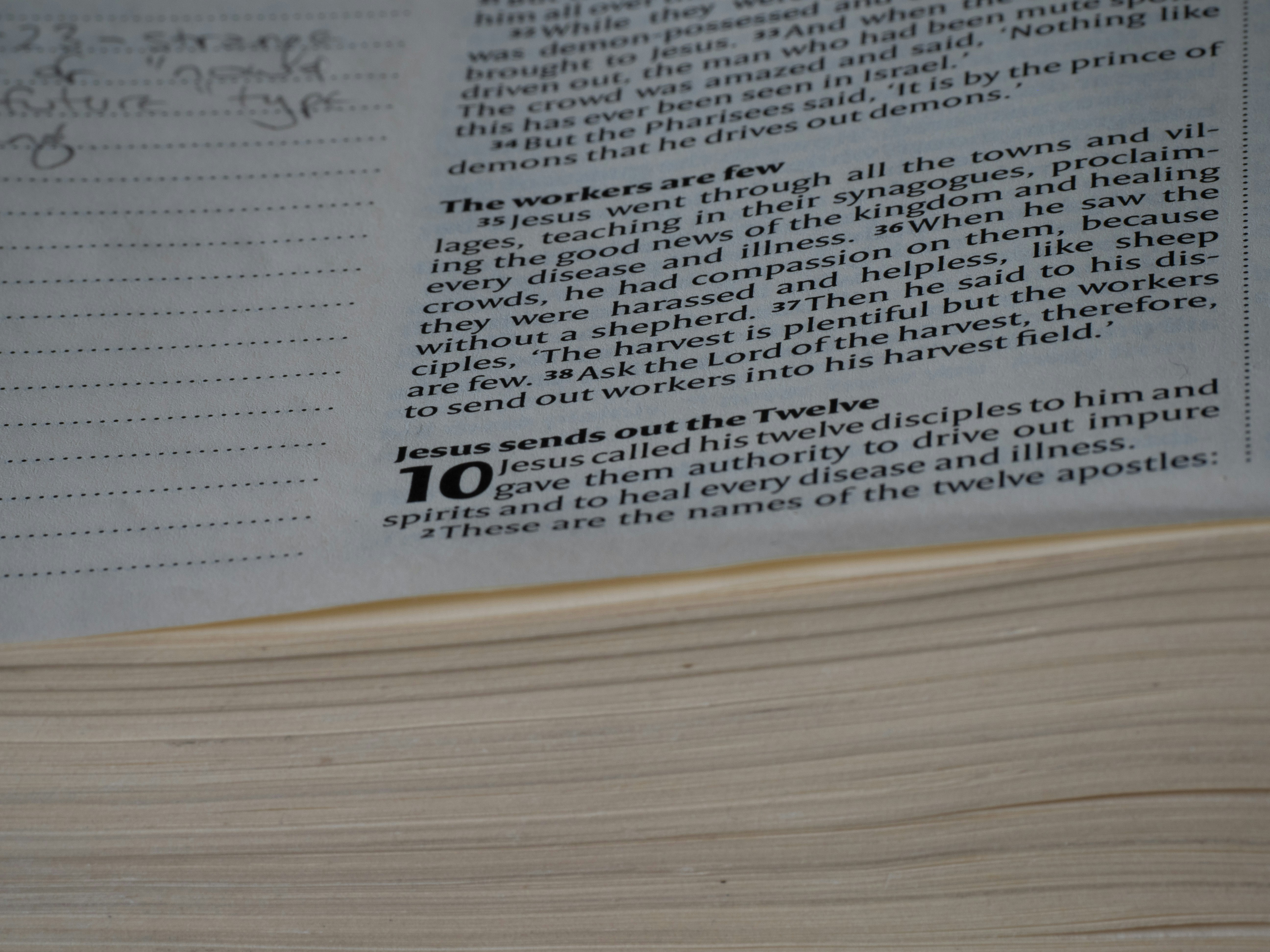 Photo by brett_jordan