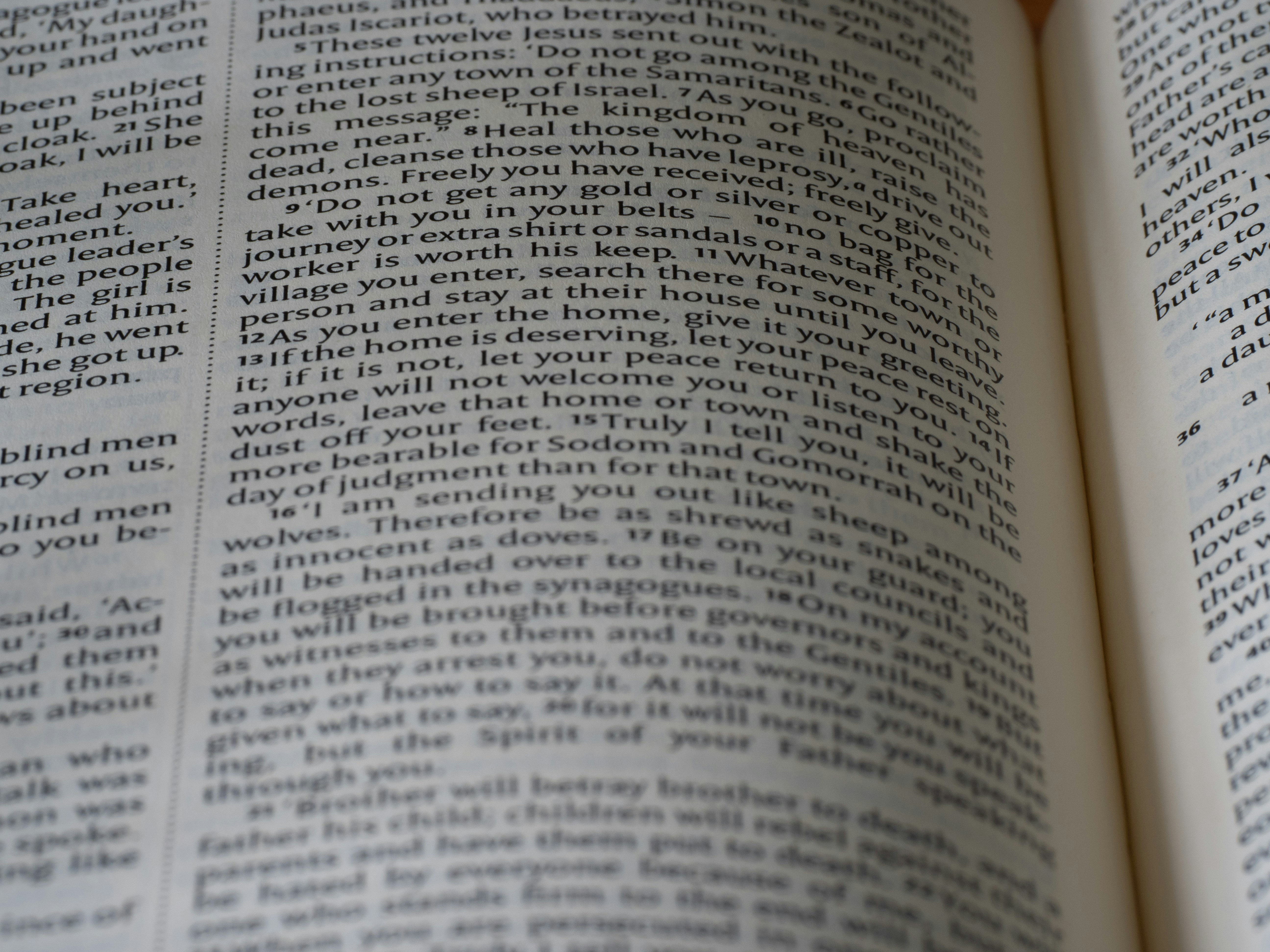 Photo by brett_jordan