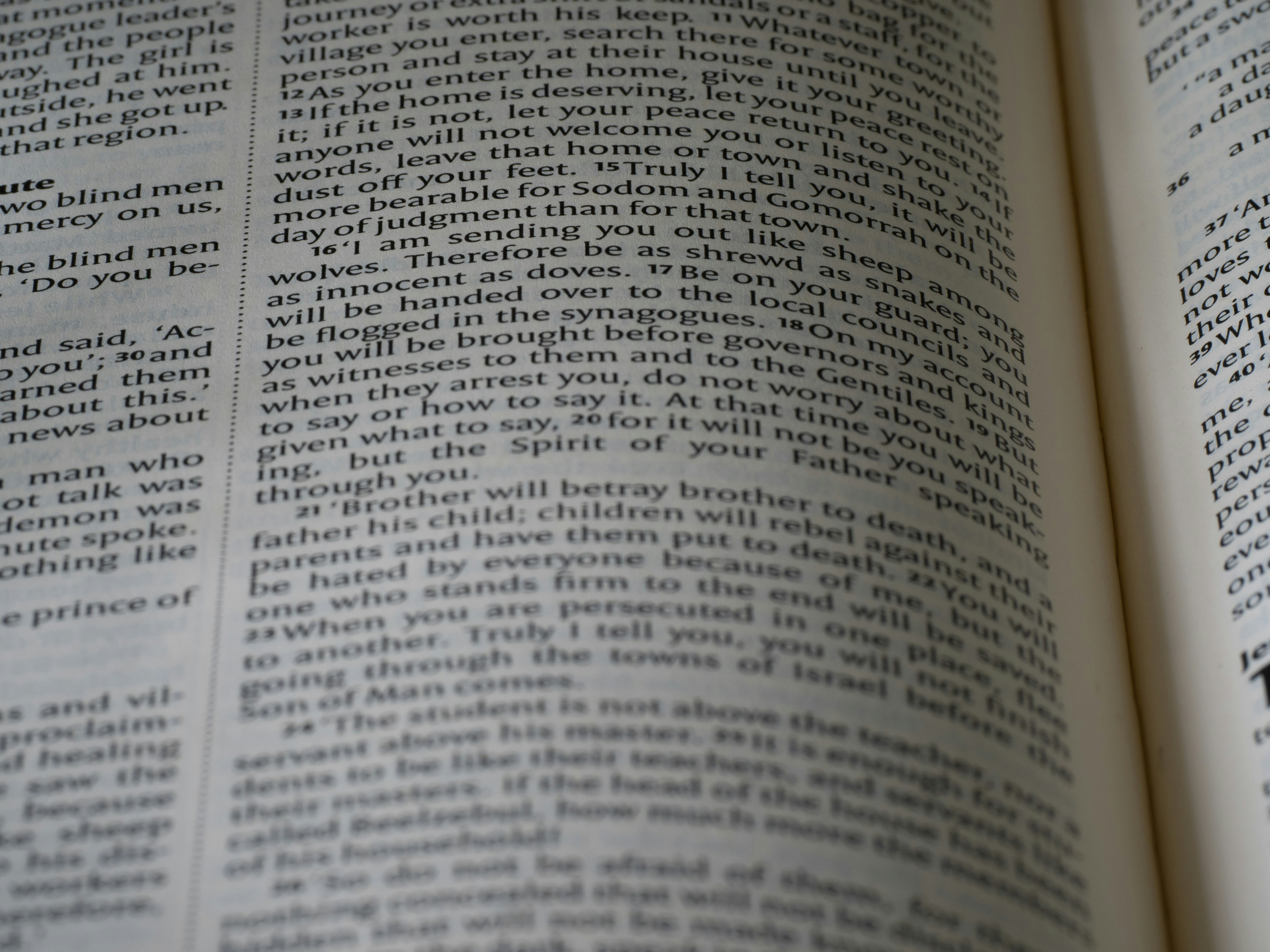 Photo by brett_jordan