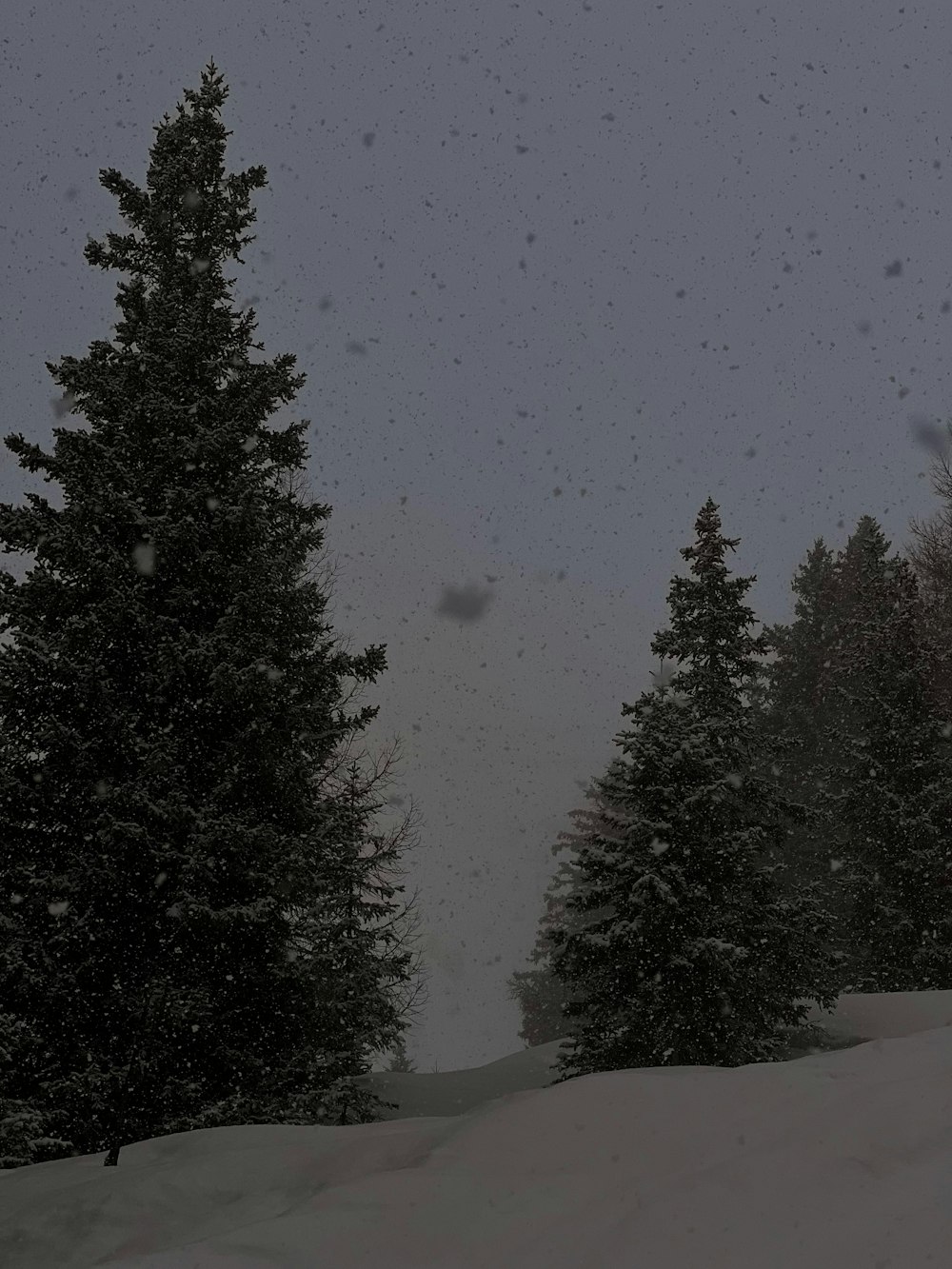 a snowboarder is going down a snowy hill