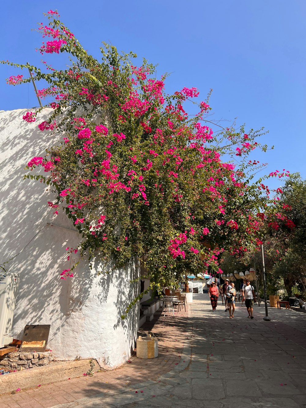 a white building with pink flowers growing on it